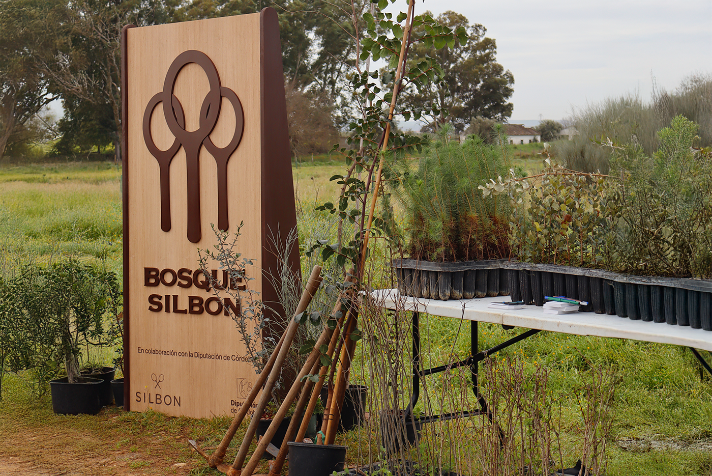 Huella de Carbono y Bosque Silbon