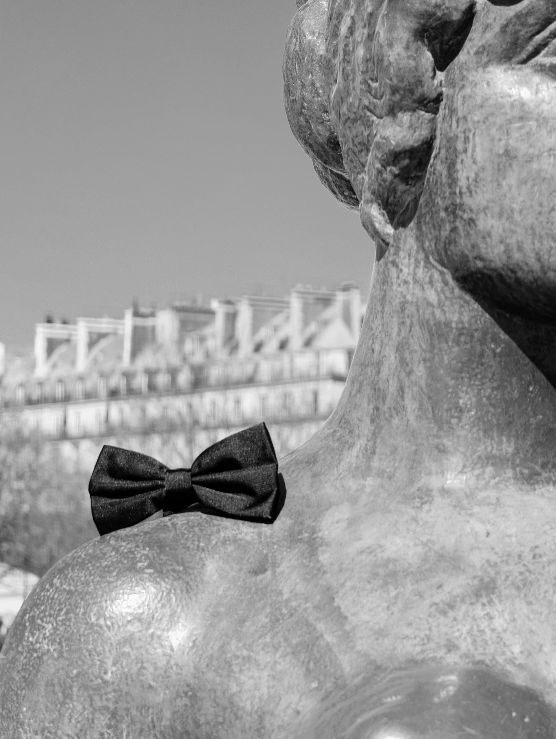 Noeud papillon en velours noir