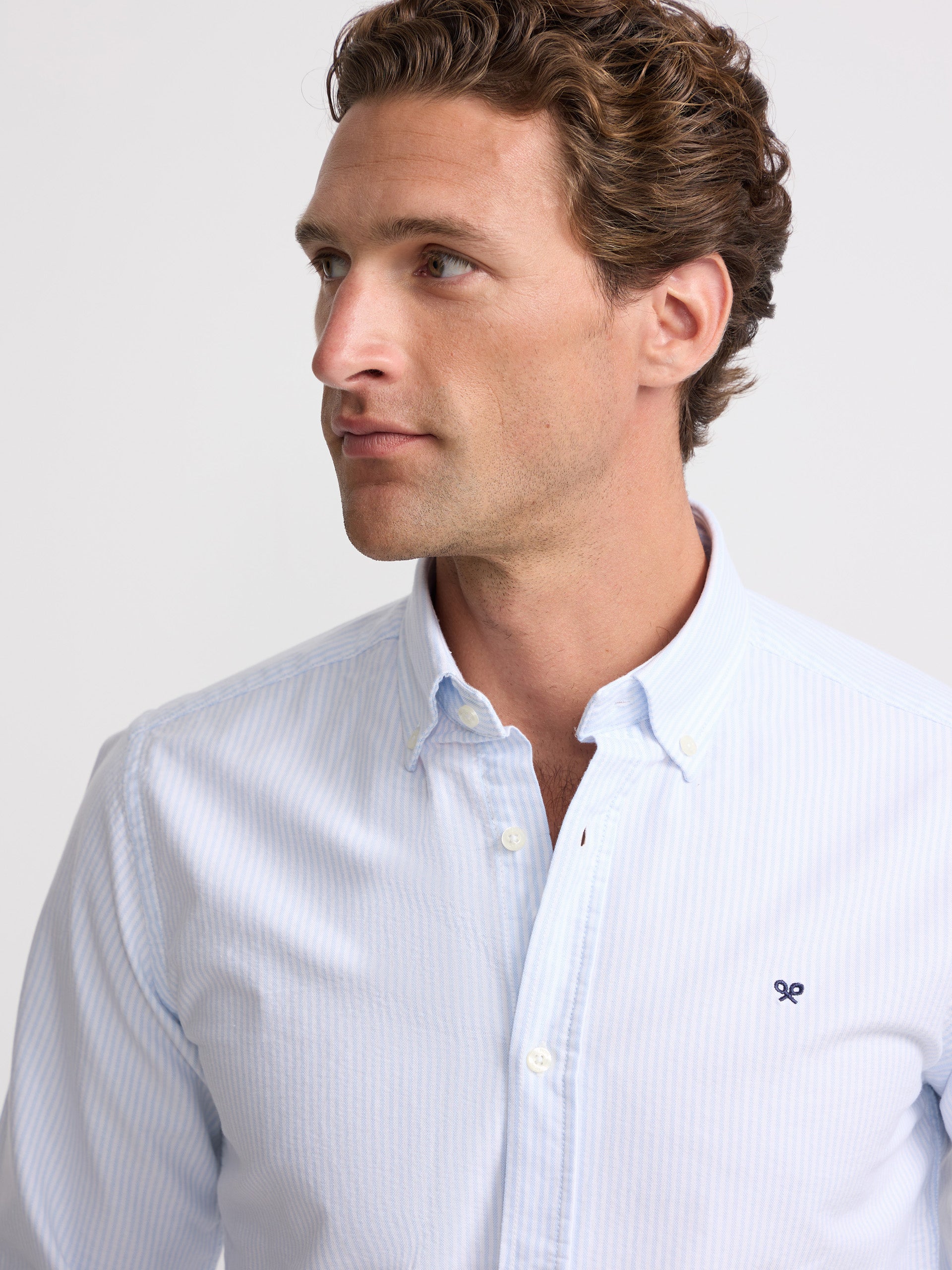 Light blue stripe oxford sport shirt