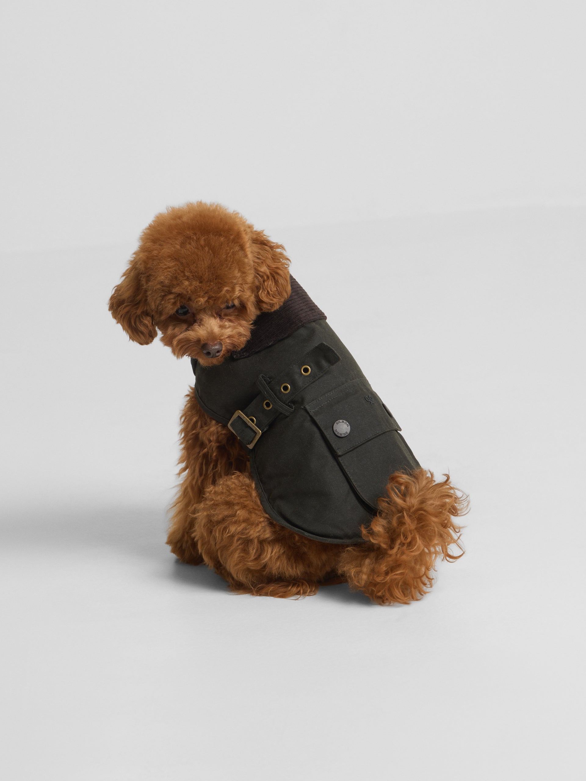 Manteau pour animaux de compagnie ciré vert