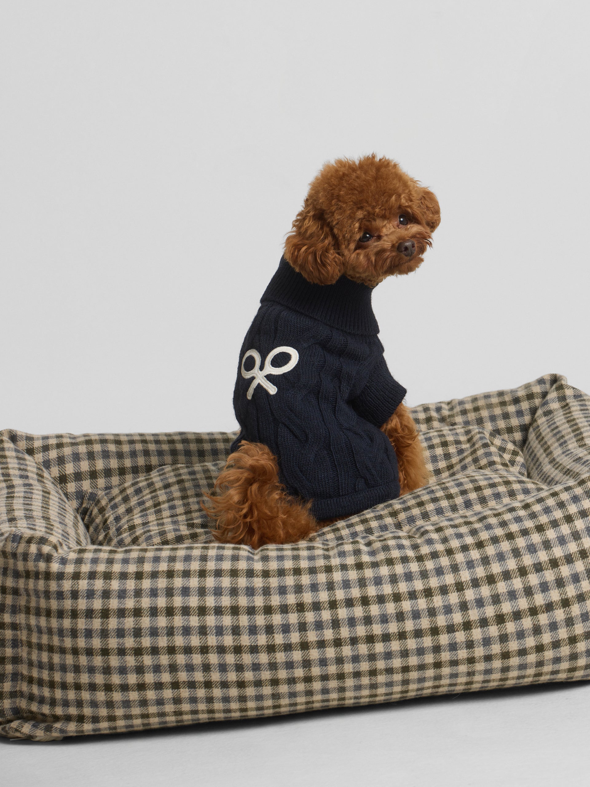 Jersey mascotas cuello vuelto azul marino