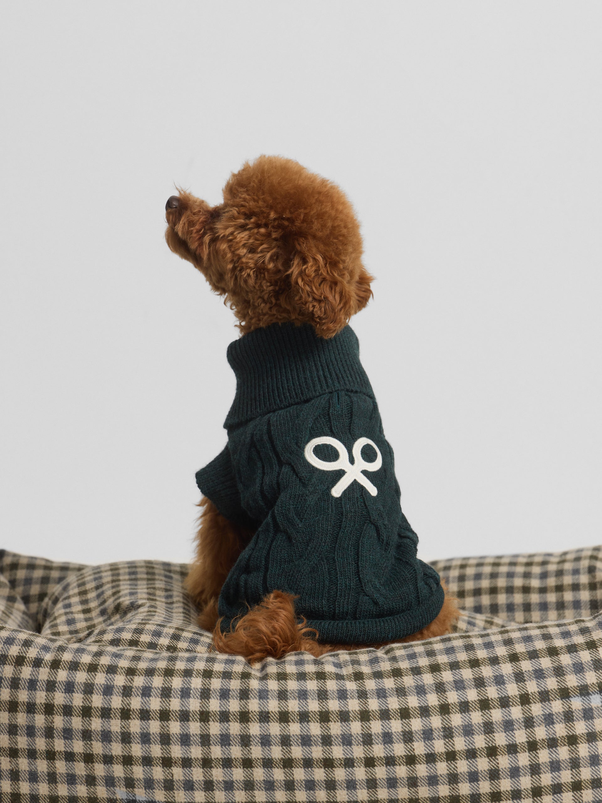 Jersey mascotas cuello vuelto verde