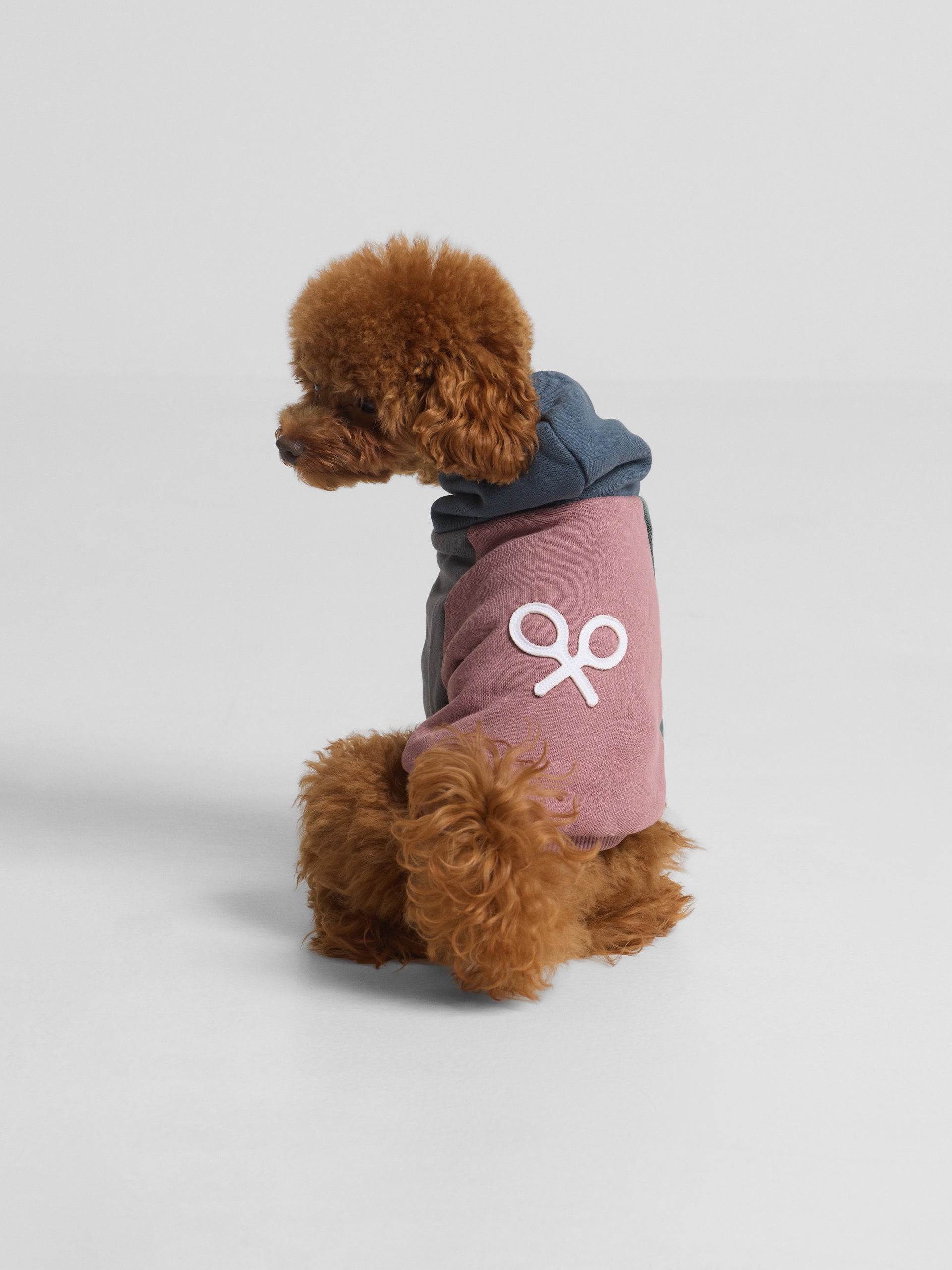 Sweat-shirt pour animaux de compagnie à capuche multicolore bordeaux