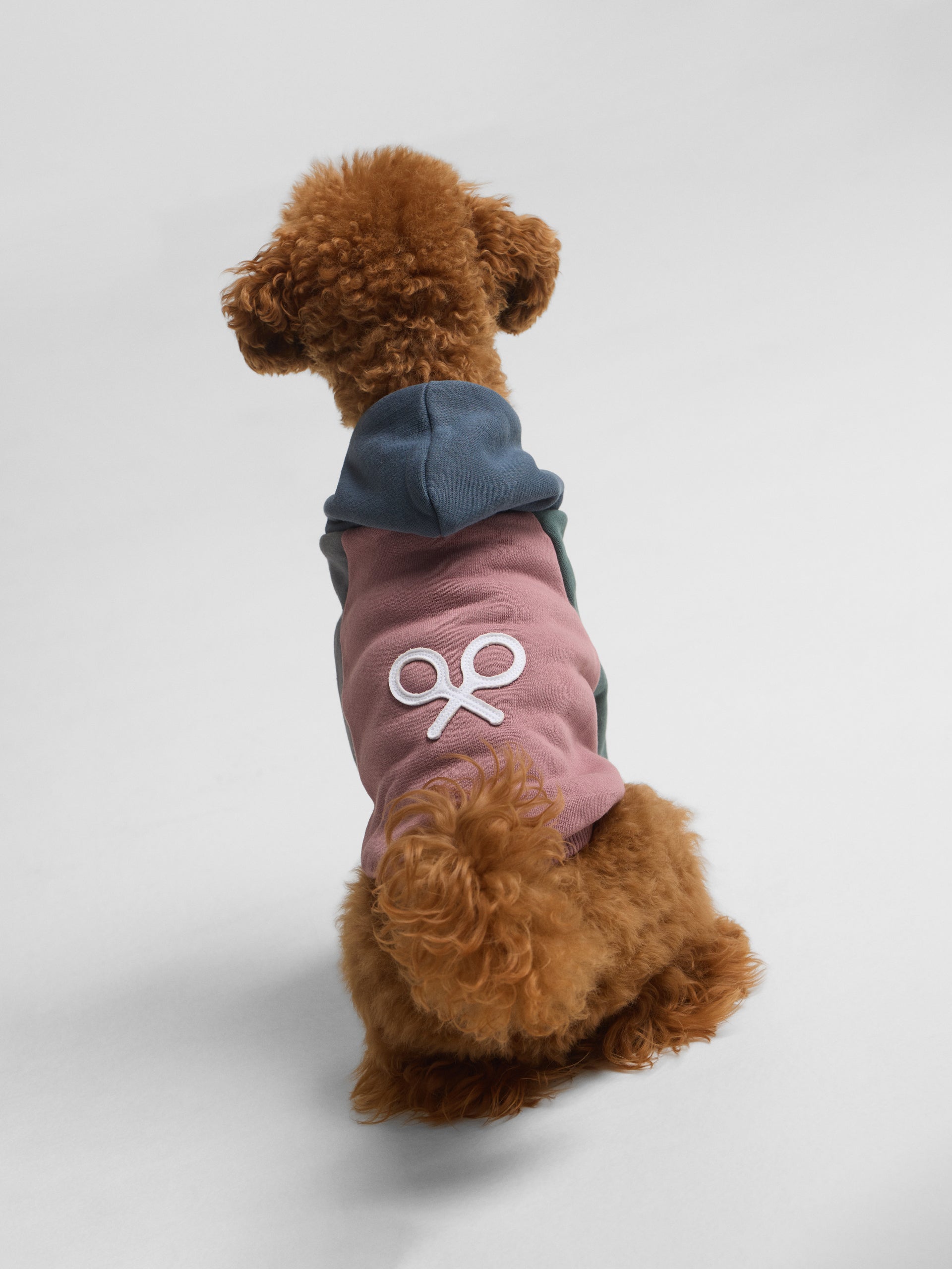 Sweat-shirt pour animaux de compagnie à capuche multicolore bordeaux