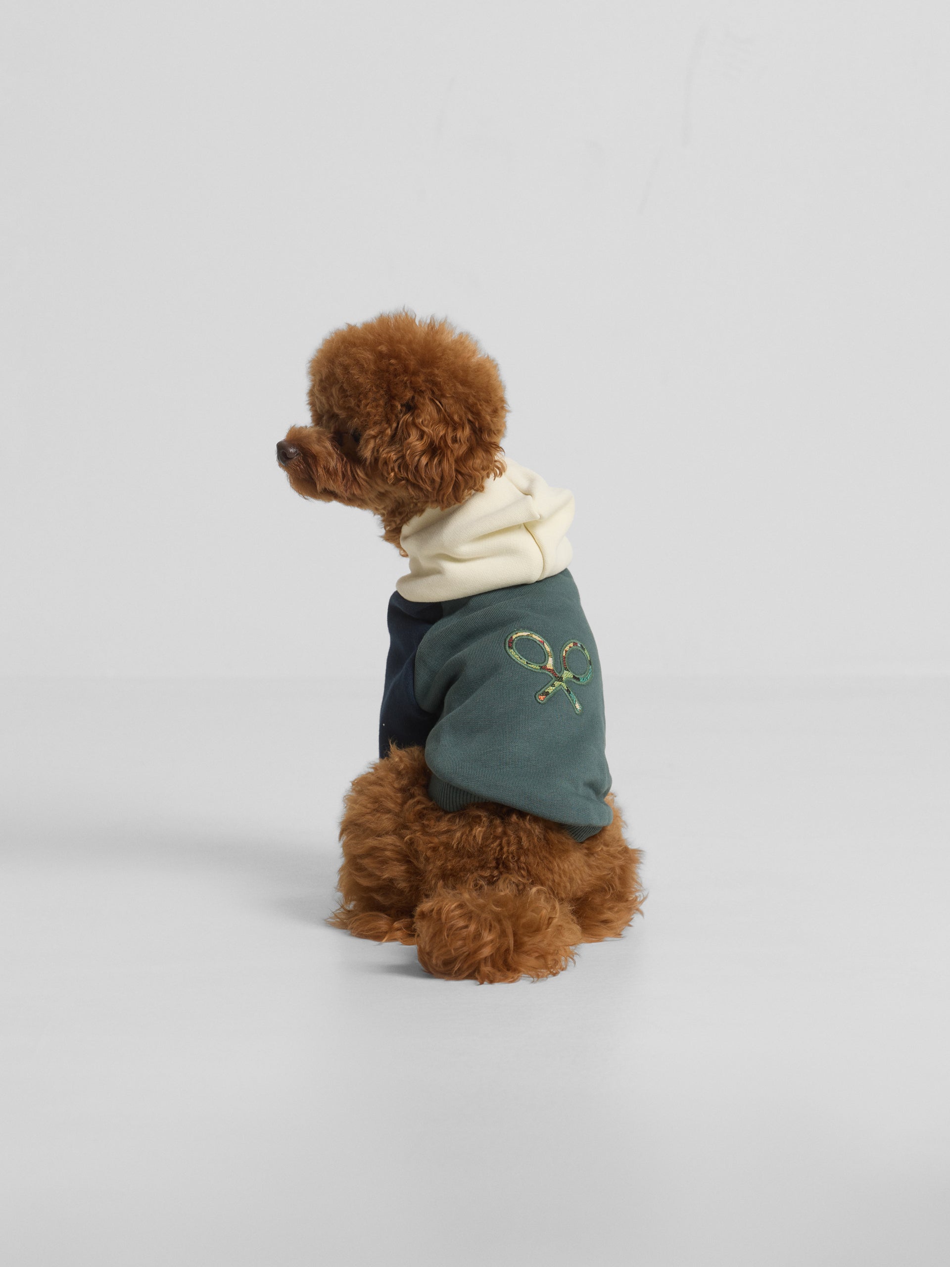 Sudadera mascotas hoodie multicolor verde