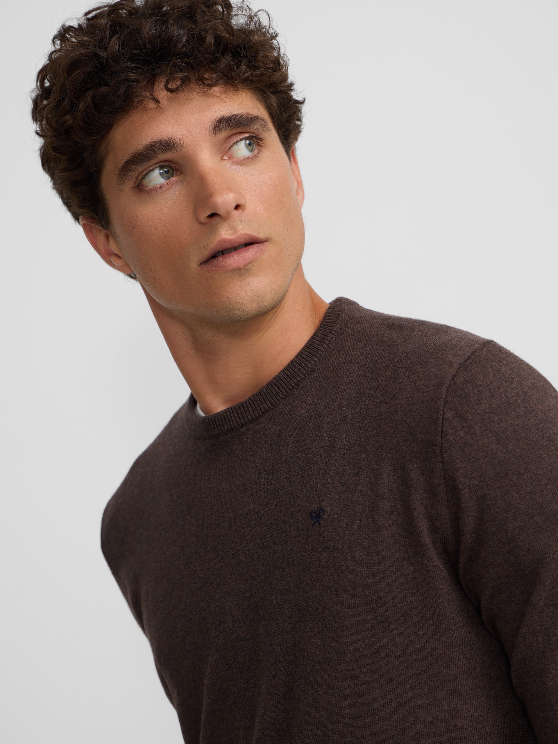 Classic brown round neck sweater