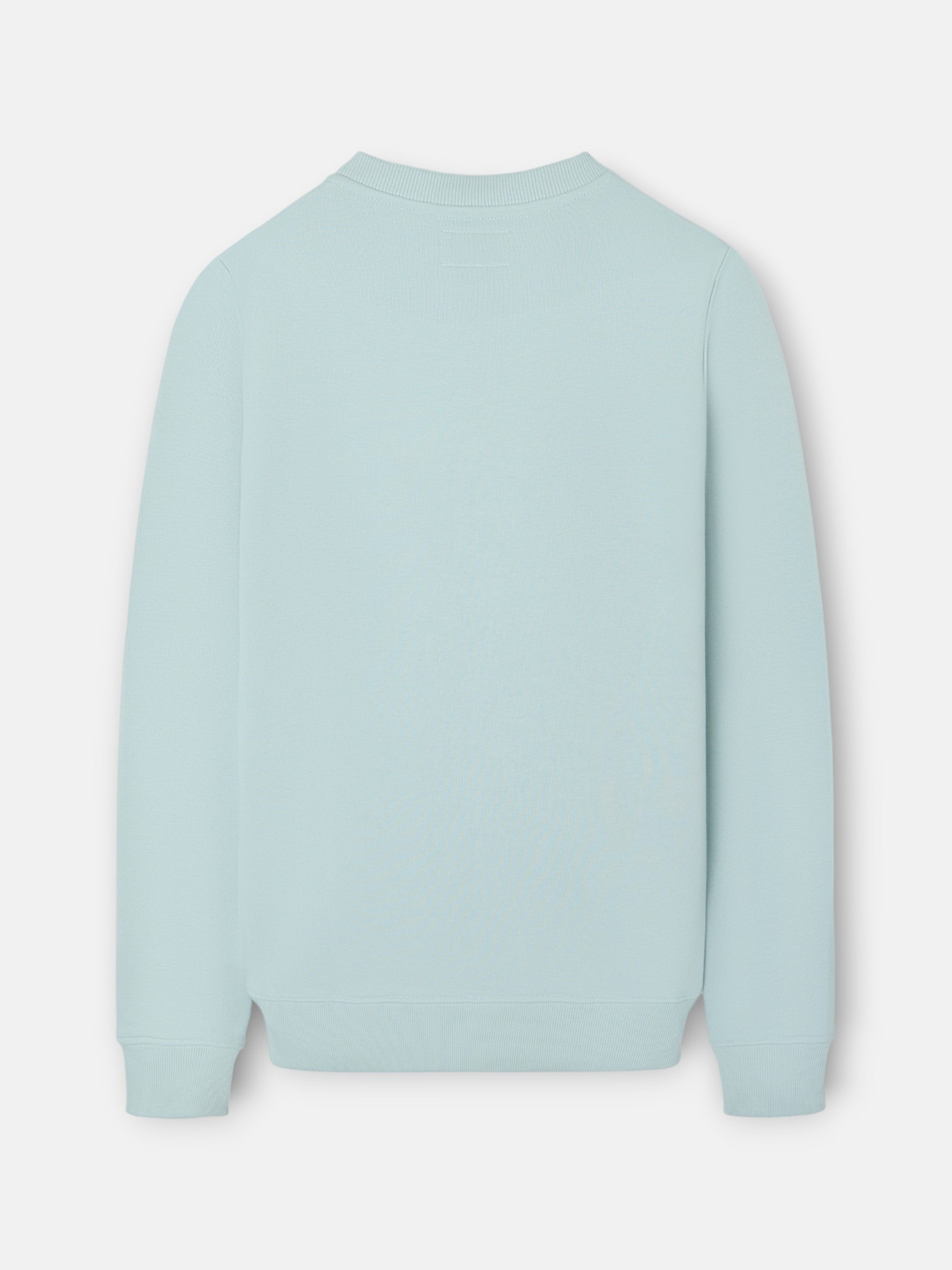 Sweatshirt clássica com logótipo em relevo verde água