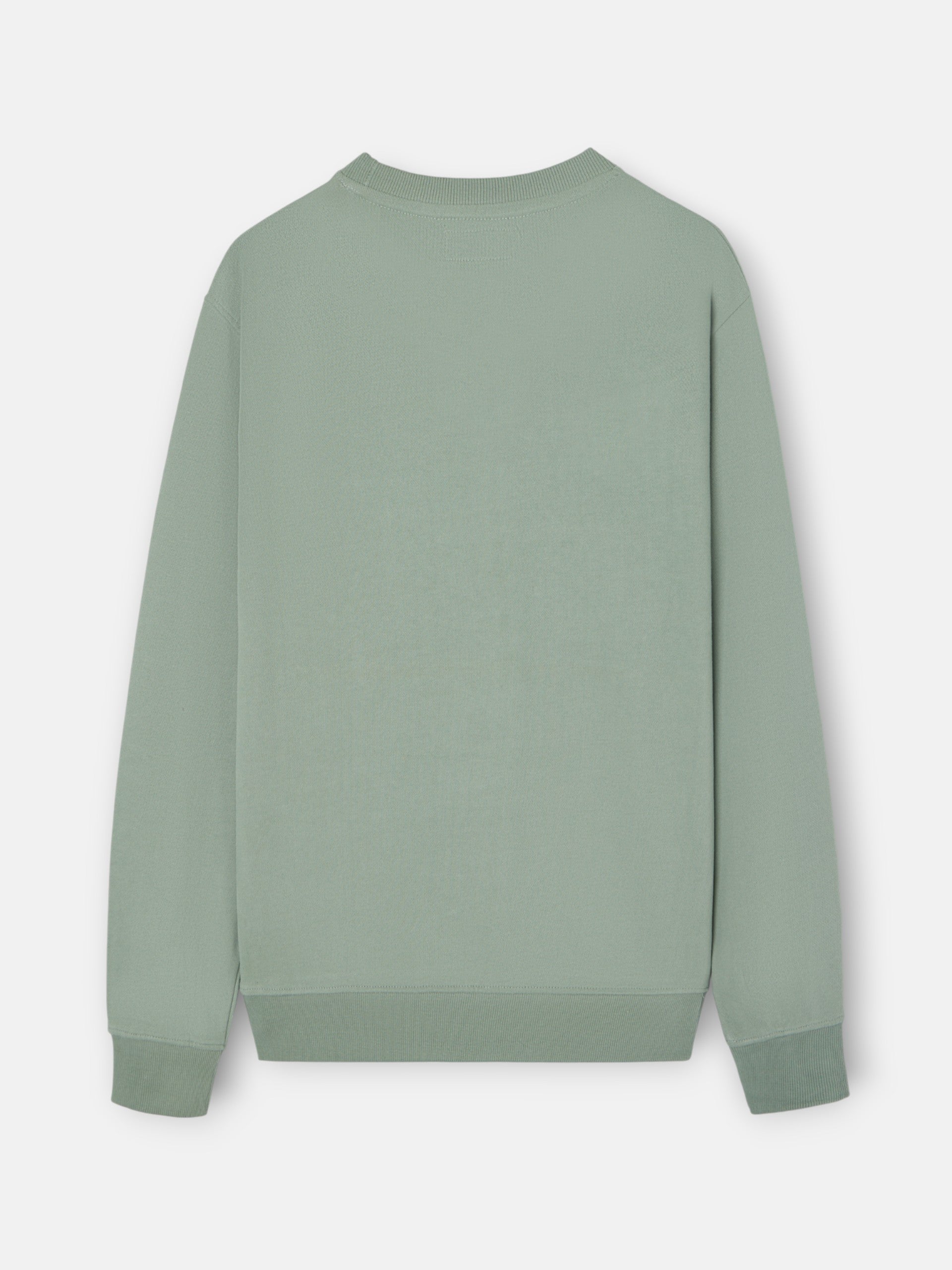 Light green mini logo silbon sweatshirt