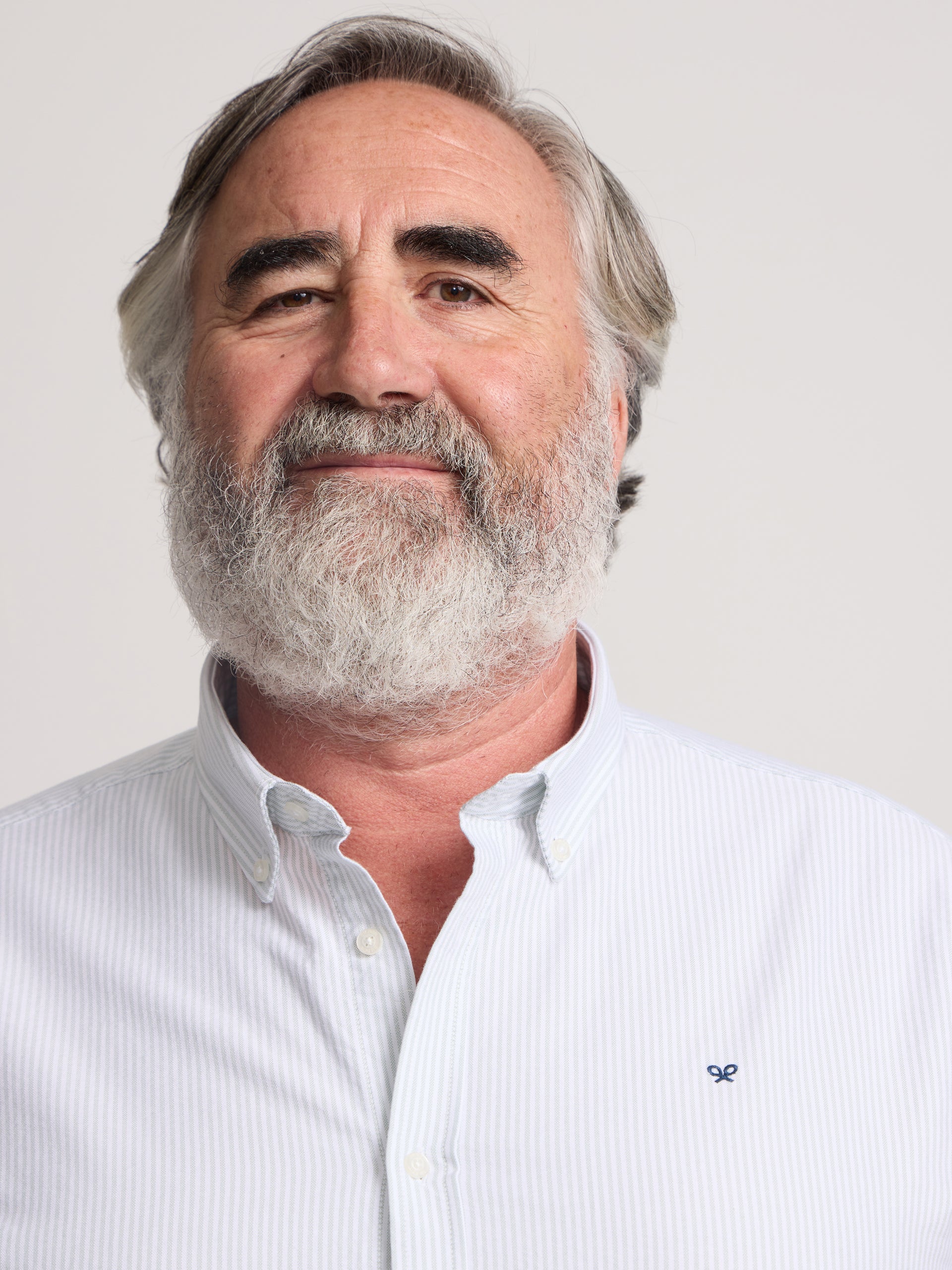 Camisa sport oxford raquete riscas largas verde