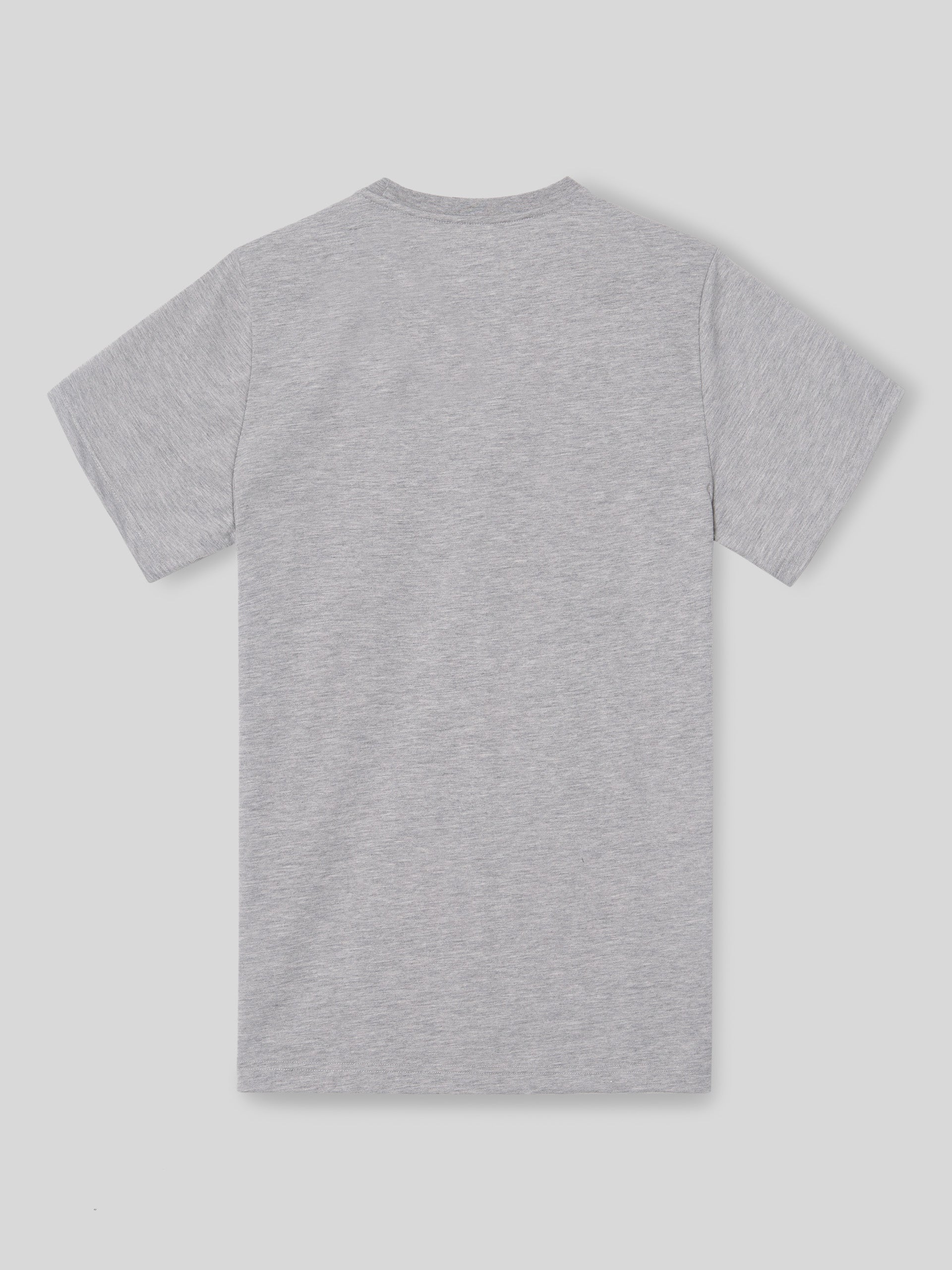 Camiseta silbon minilogo gris