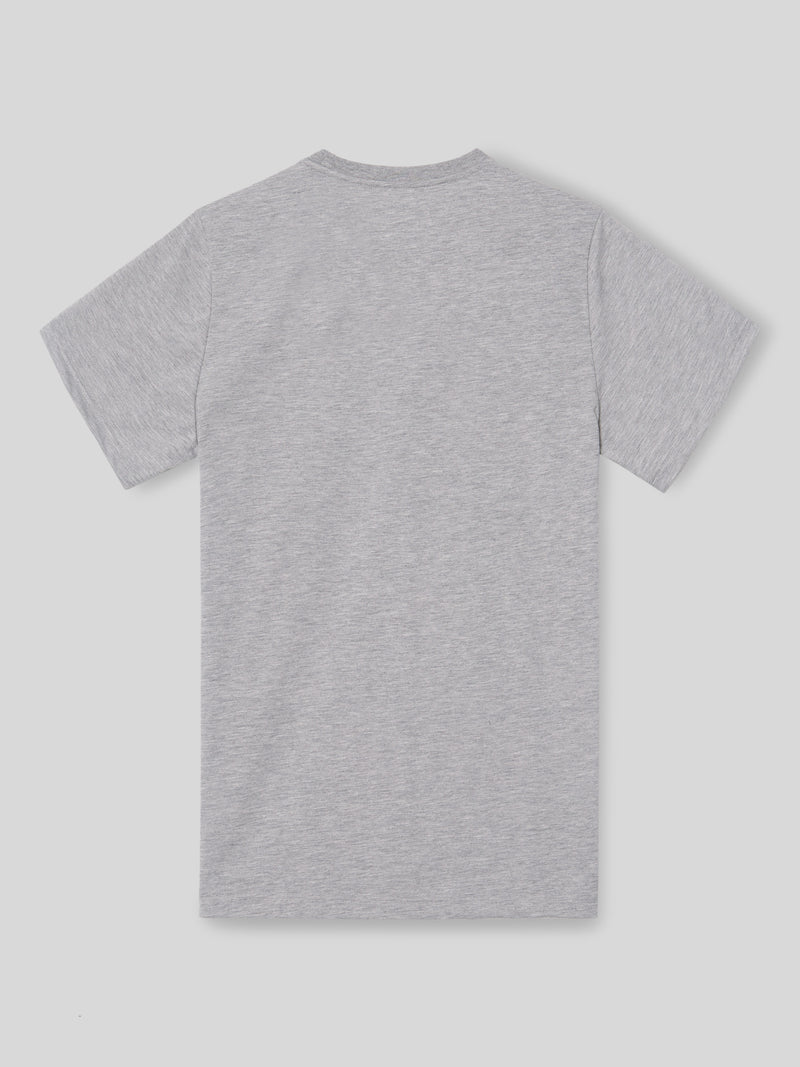 Camiseta silbon minilogo gris