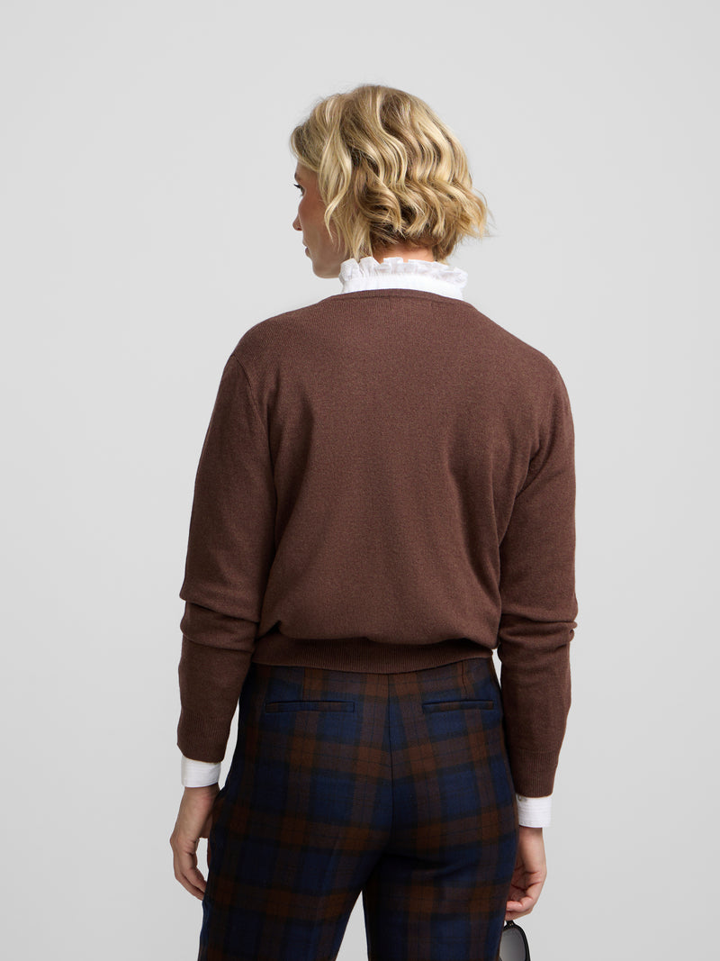 Brown V-neck sweater