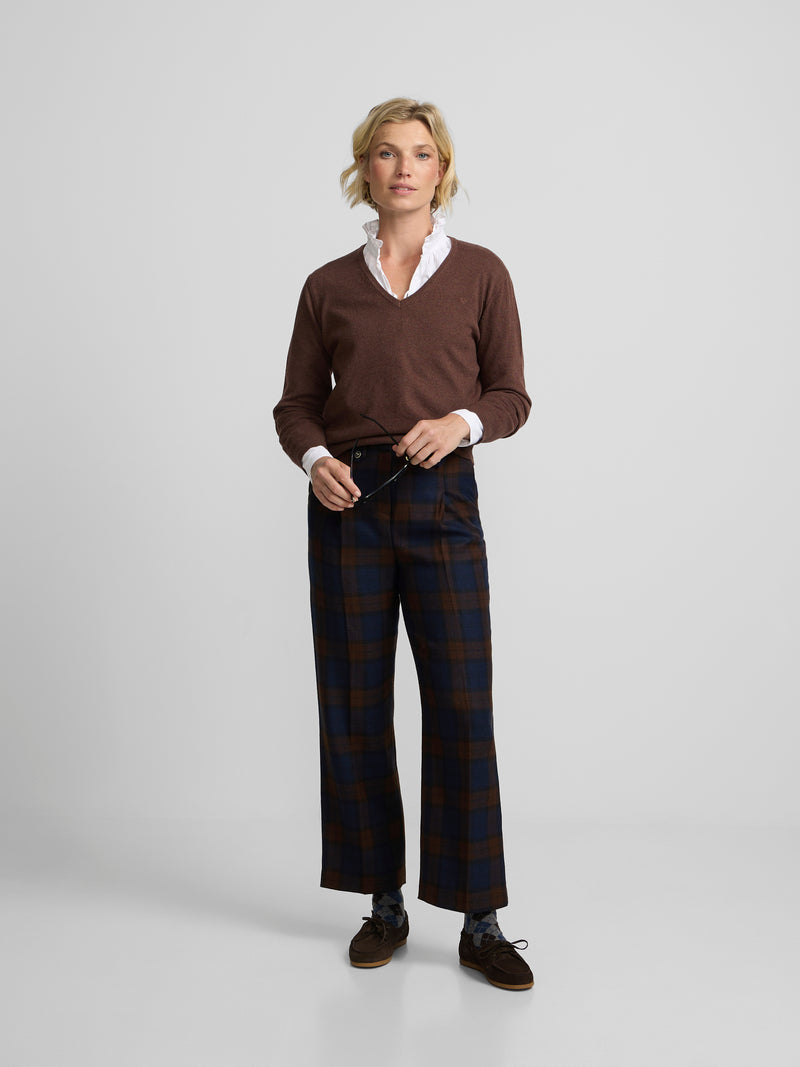 Brown V-neck sweater