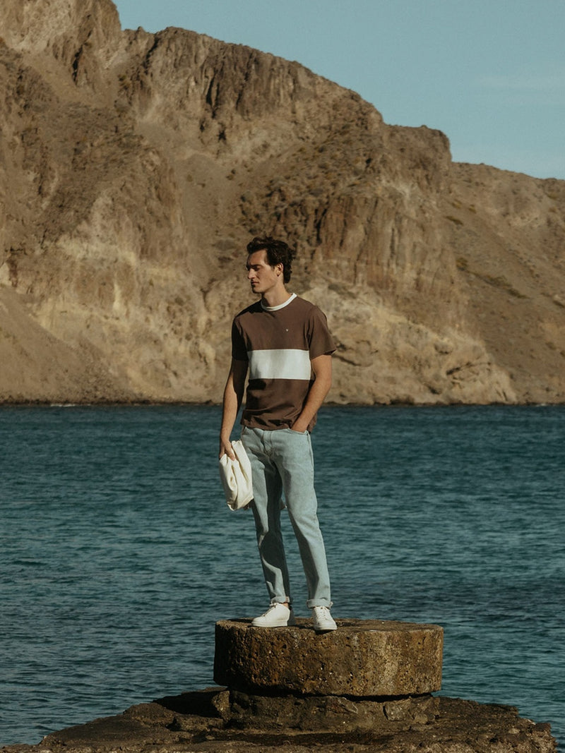 Horizontal stripe cruise t-shirt brown