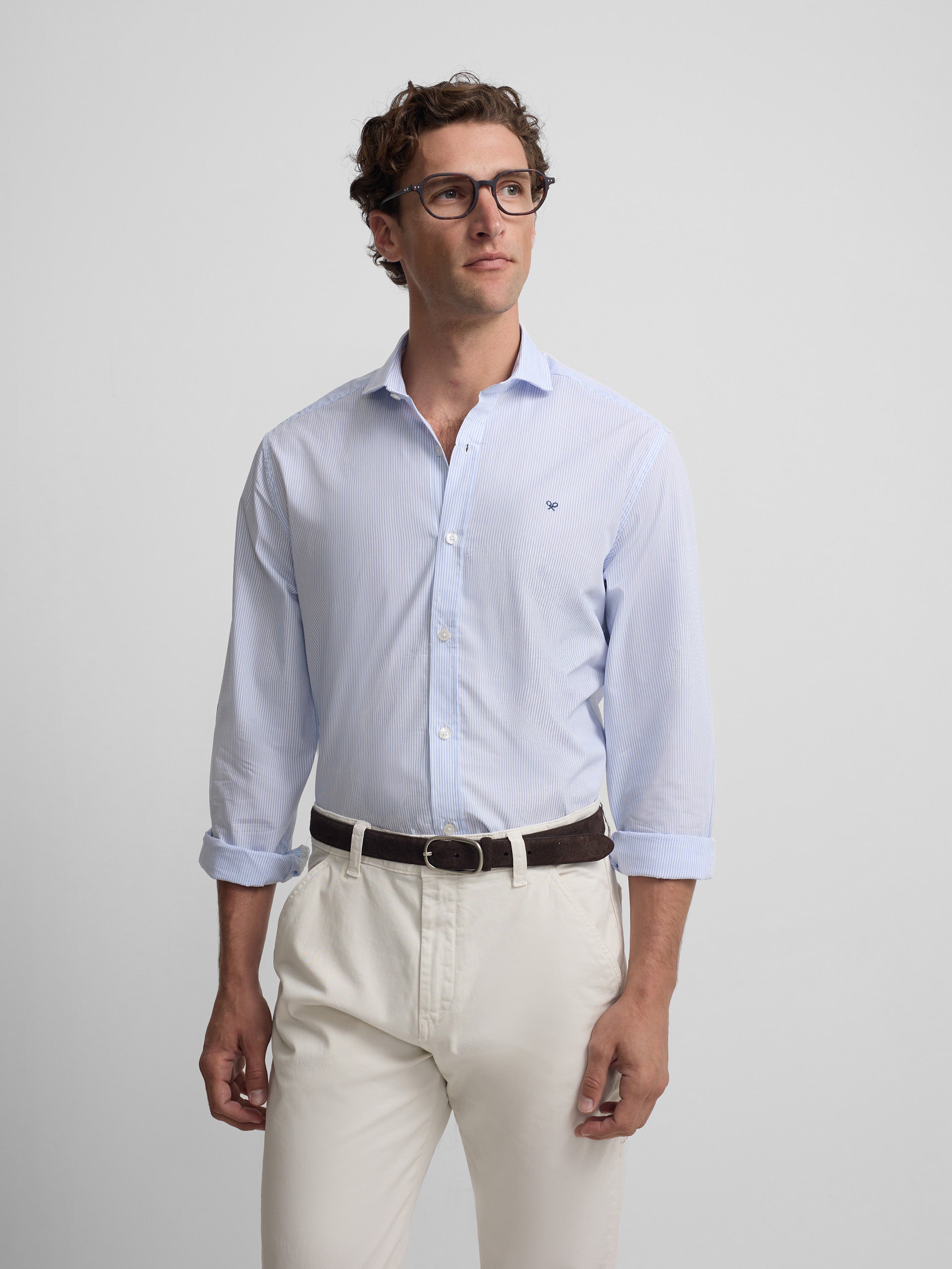 Classic blue stripe sport shirt