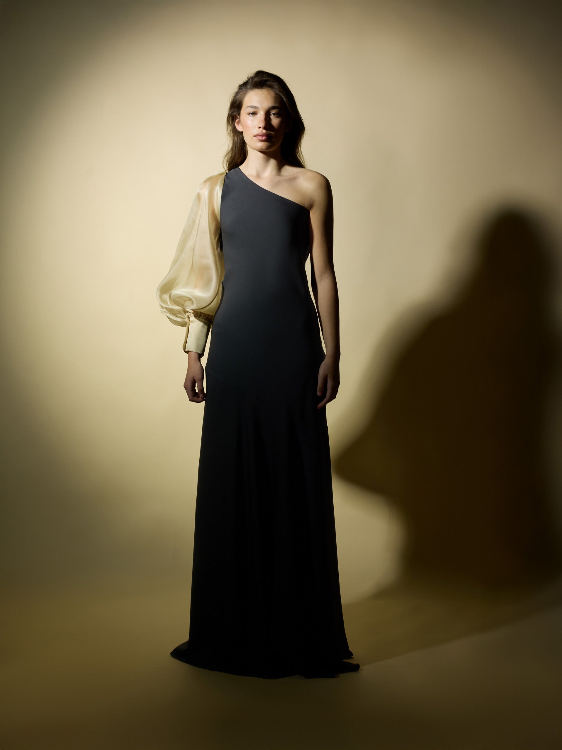 Robe CaprilexSilbon manches asymétriques organza