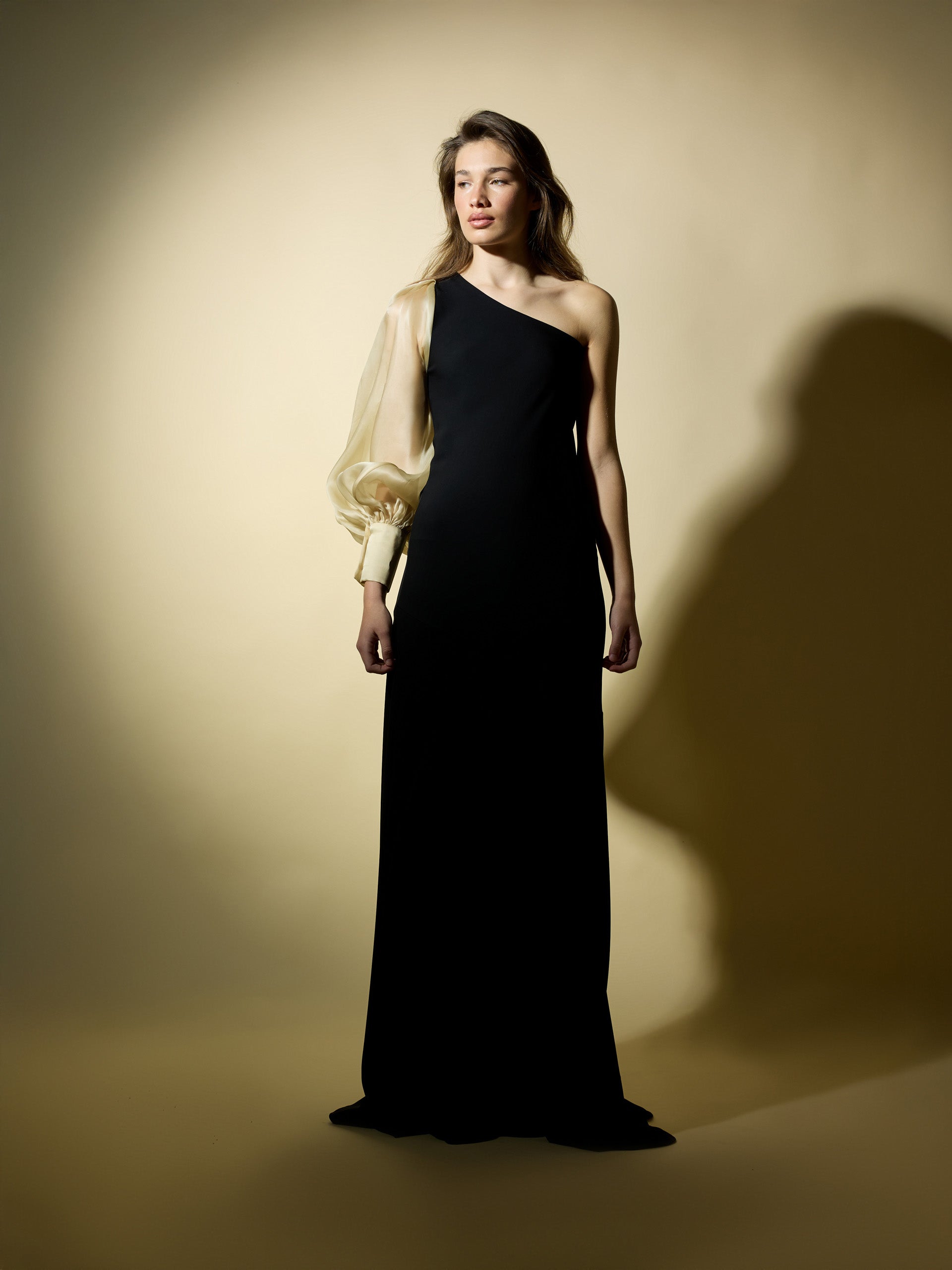 Robe CaprilexSilbon manches asymétriques organza