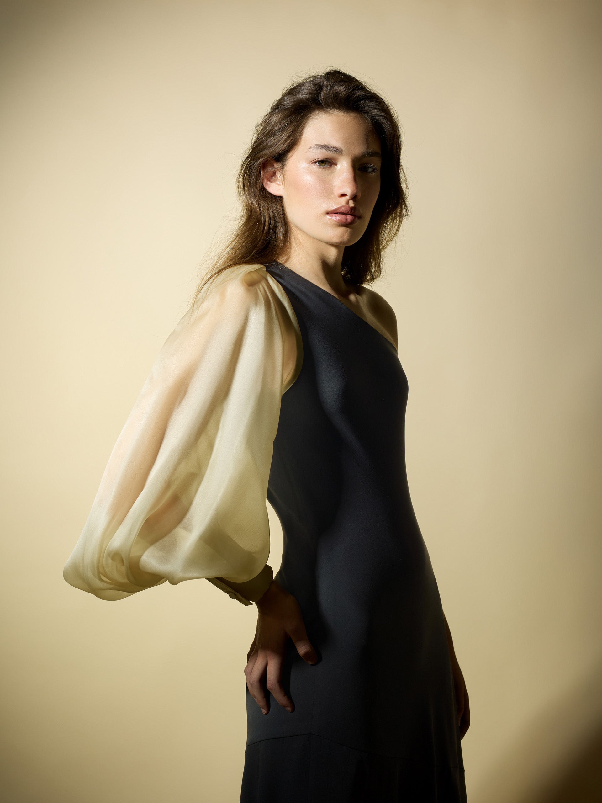 Robe CaprilexSilbon manches asymétriques organza