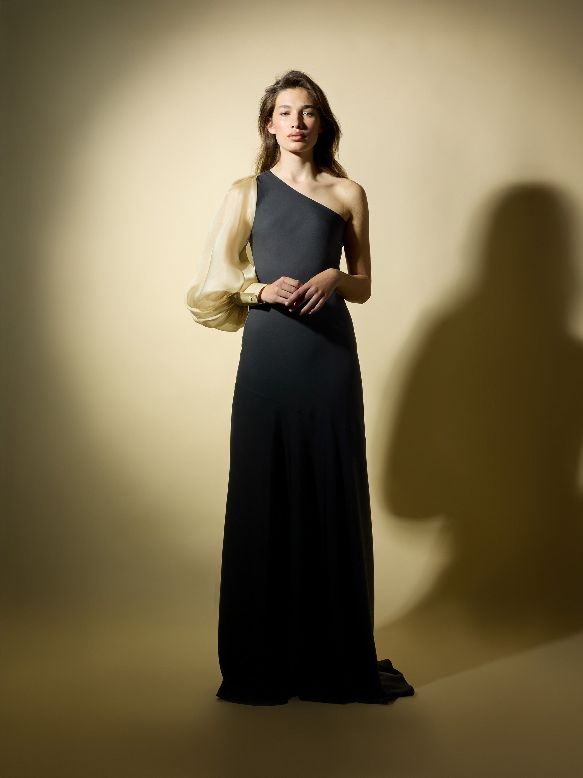 Robe CaprilexSilbon manches asymétriques organza