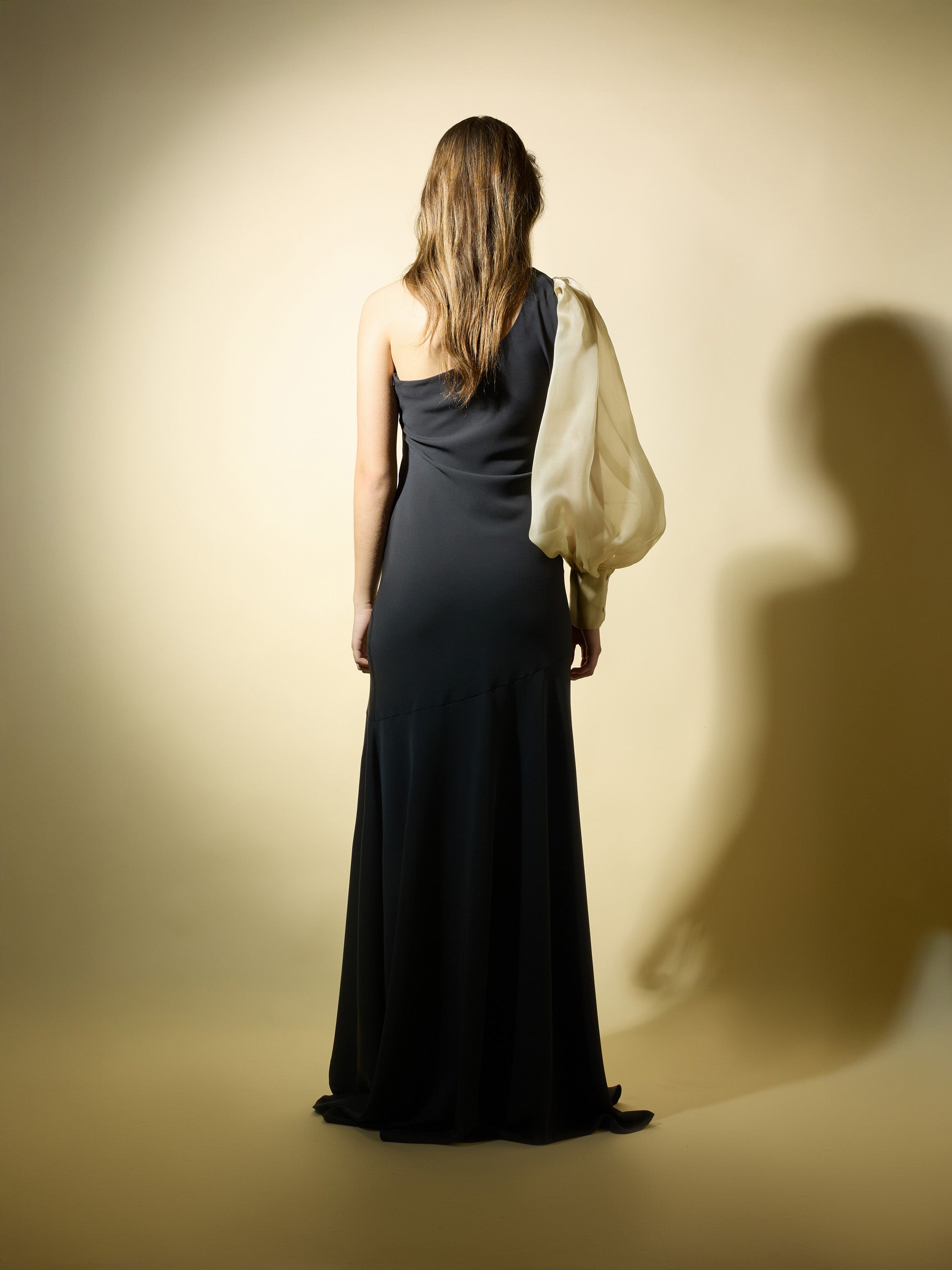 Robe CaprilexSilbon manches asymétriques organza