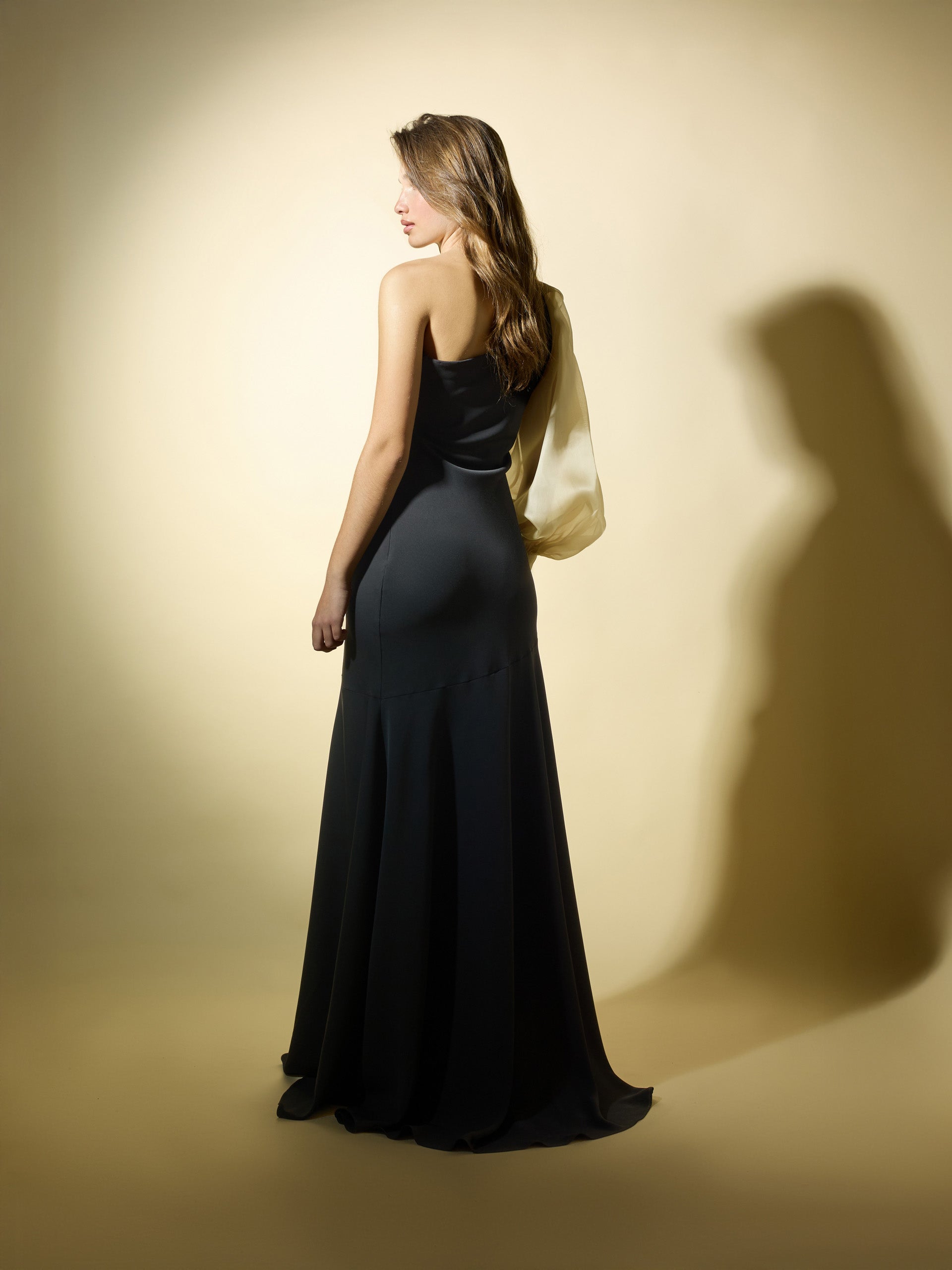 Robe CaprilexSilbon manches asymétriques organza