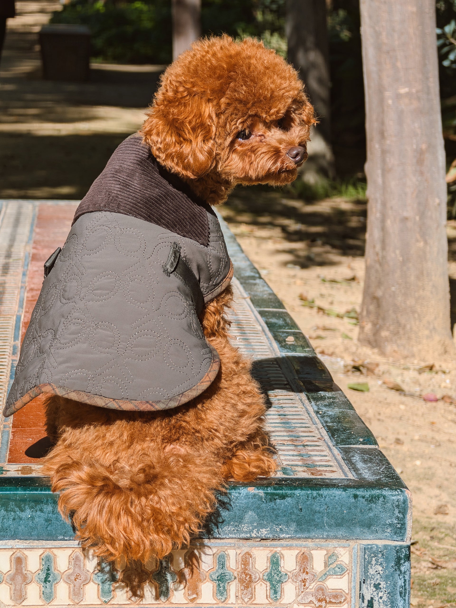 Manteau pour animaux de compagnie rembourré vert