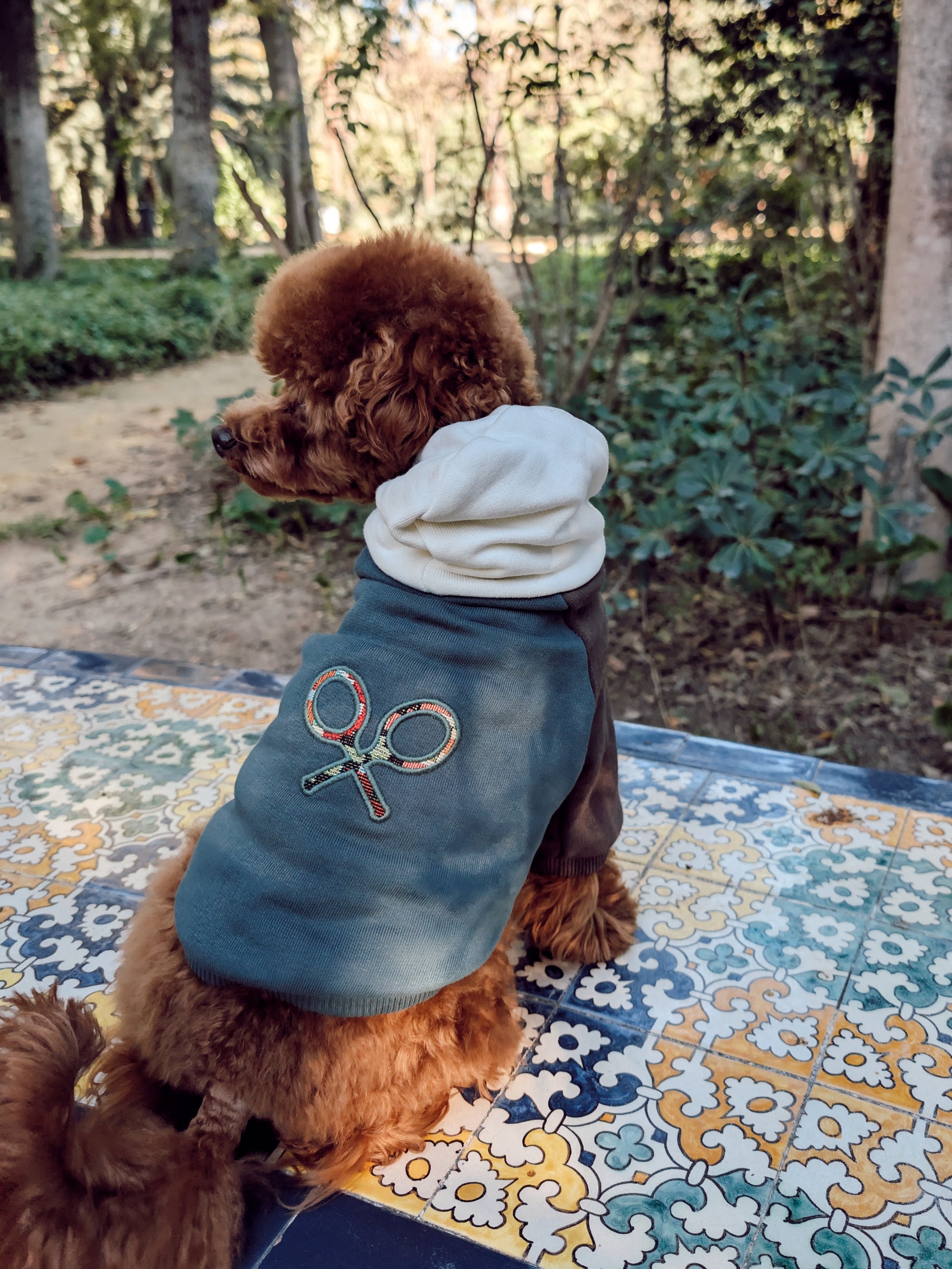 Sudadera mascotas hoodie multicolor verde