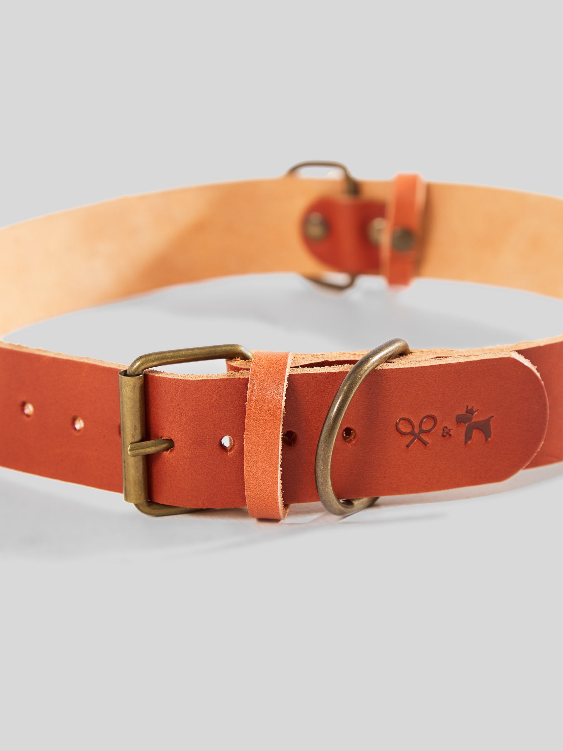 Collar perro SILBONxLADRANGAUCHO cuero