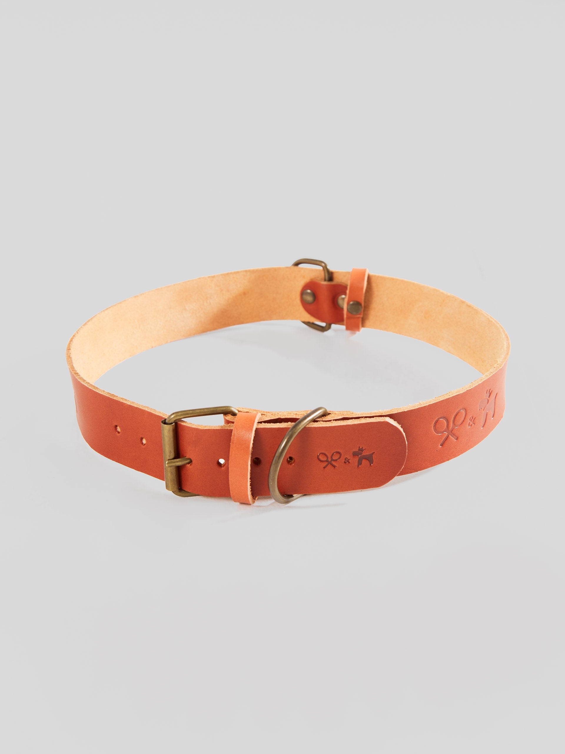 Collar perro SILBONxLADRANGAUCHO cuero