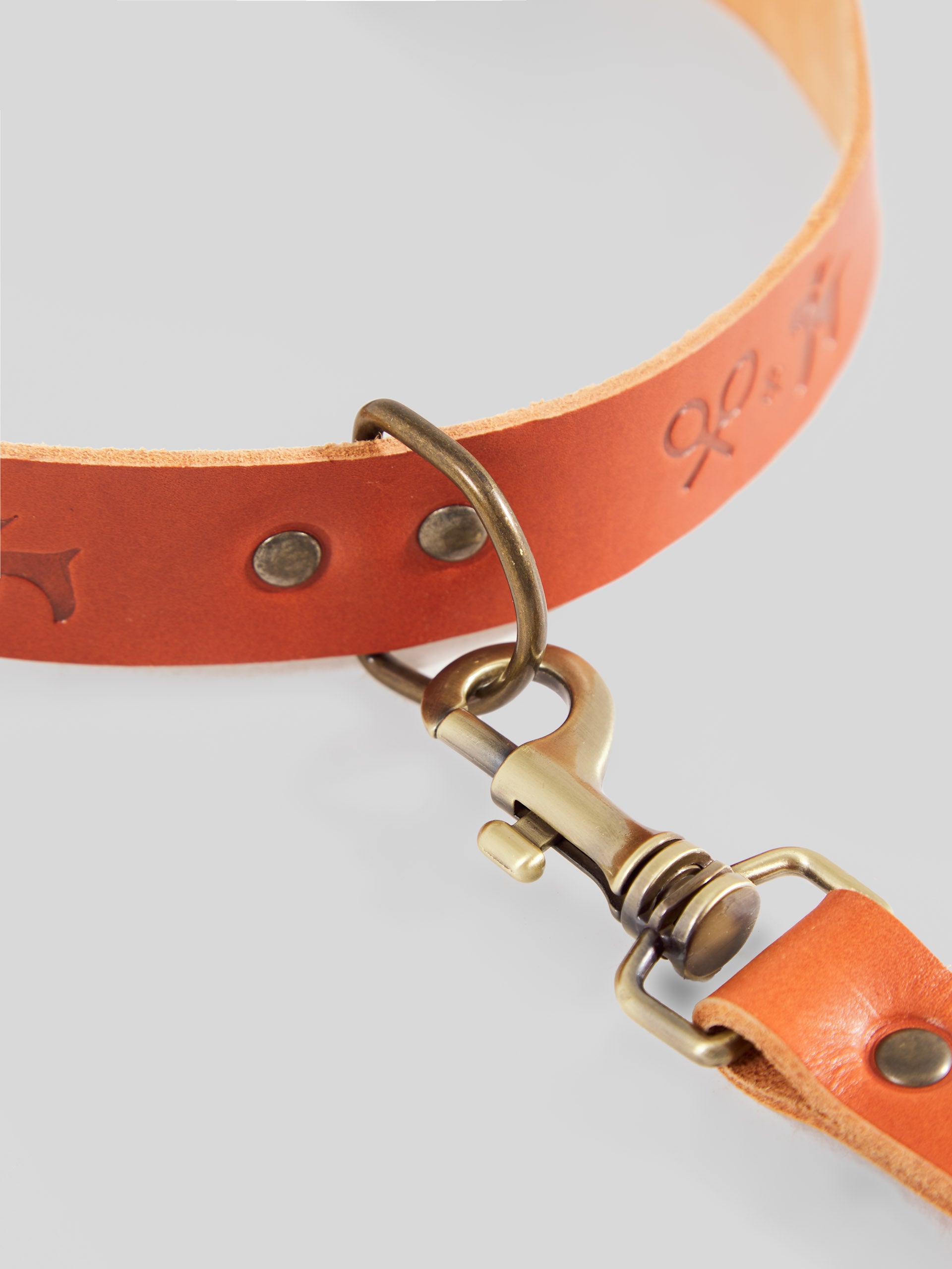 Collar perro SILBONxLADRANGAUCHO cuero