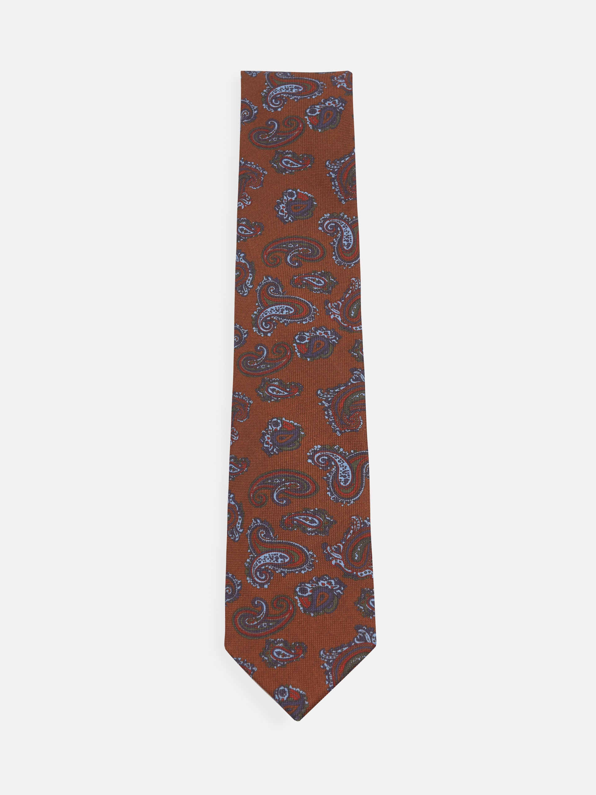 Brown paisley printed tie