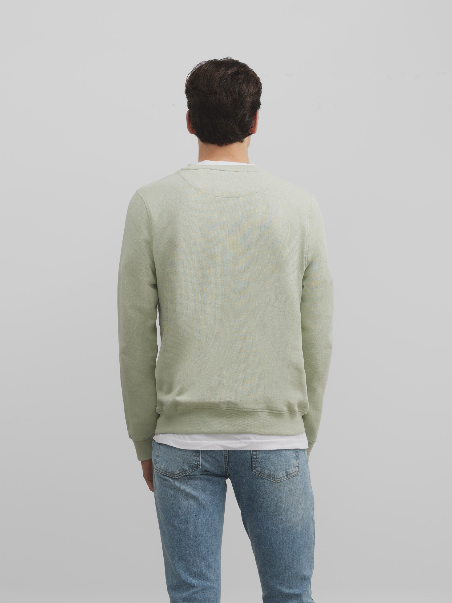 Light green mini logo sweatshirt