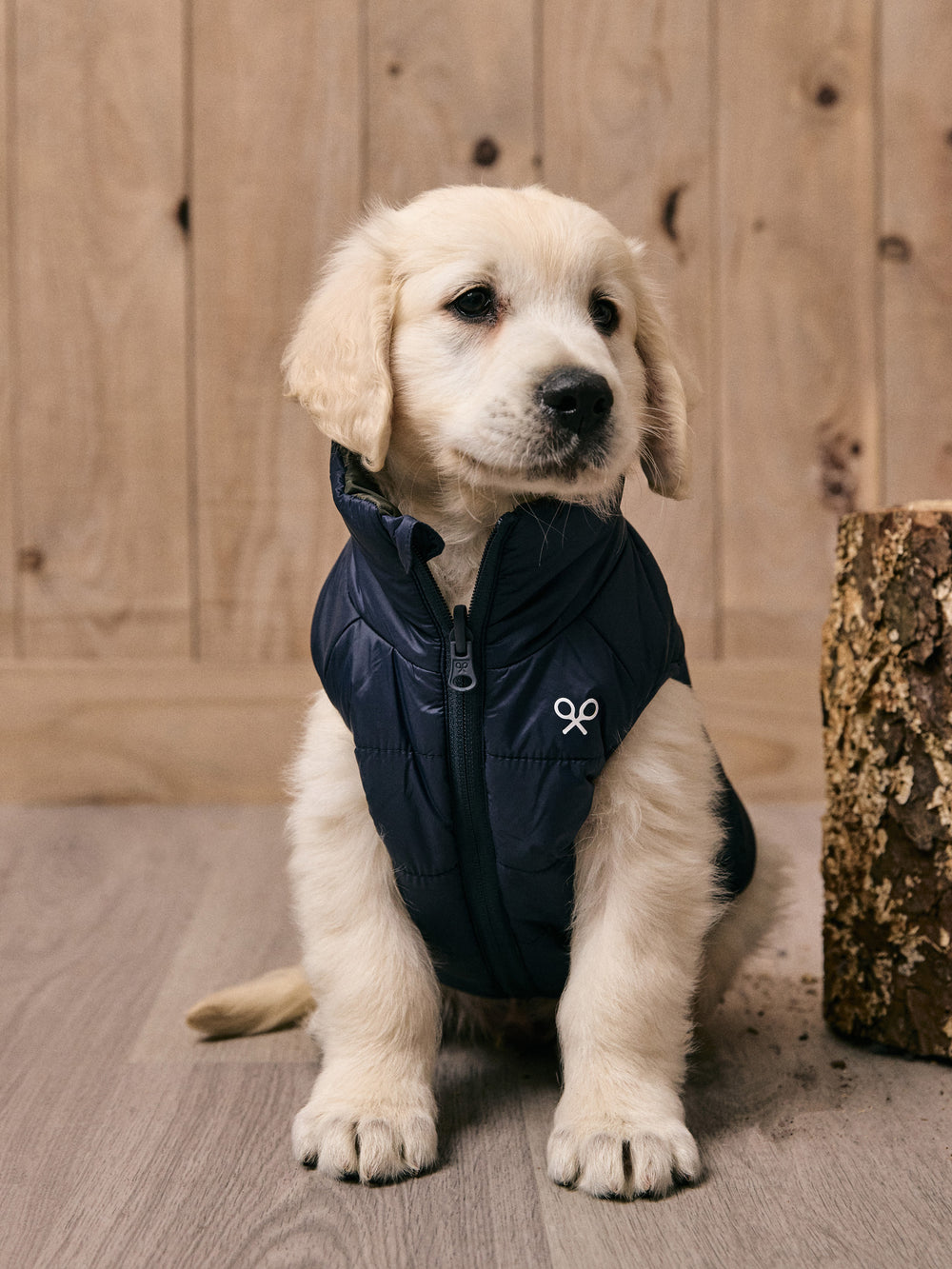 Manteau réversible bleu vert pour animaux de compagnie