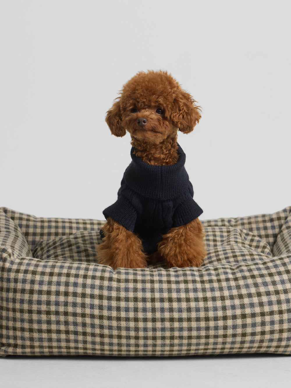 Jersey mascotas cuello vuelto azul marino