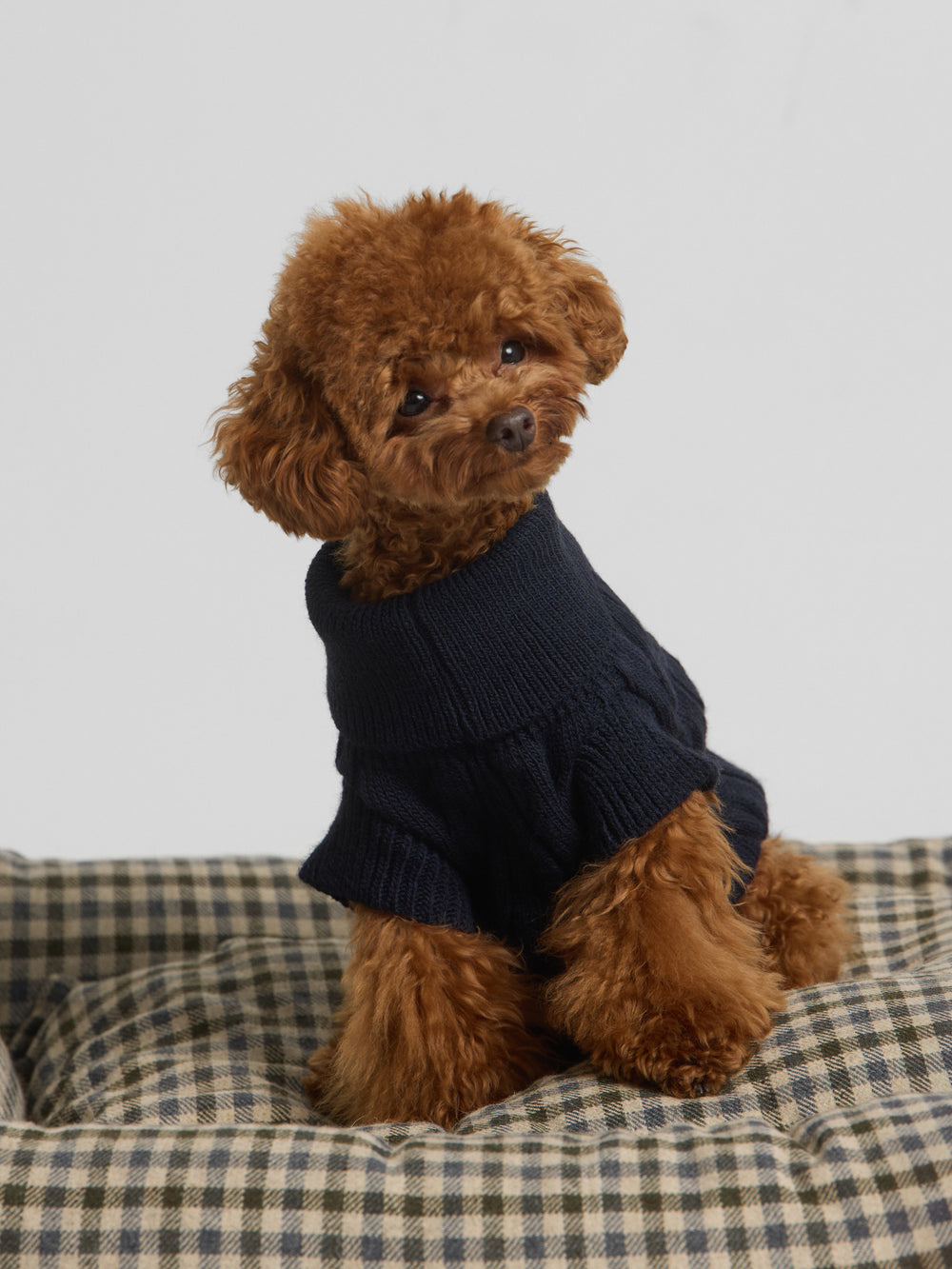 Jersey mascotas cuello vuelto azul marino