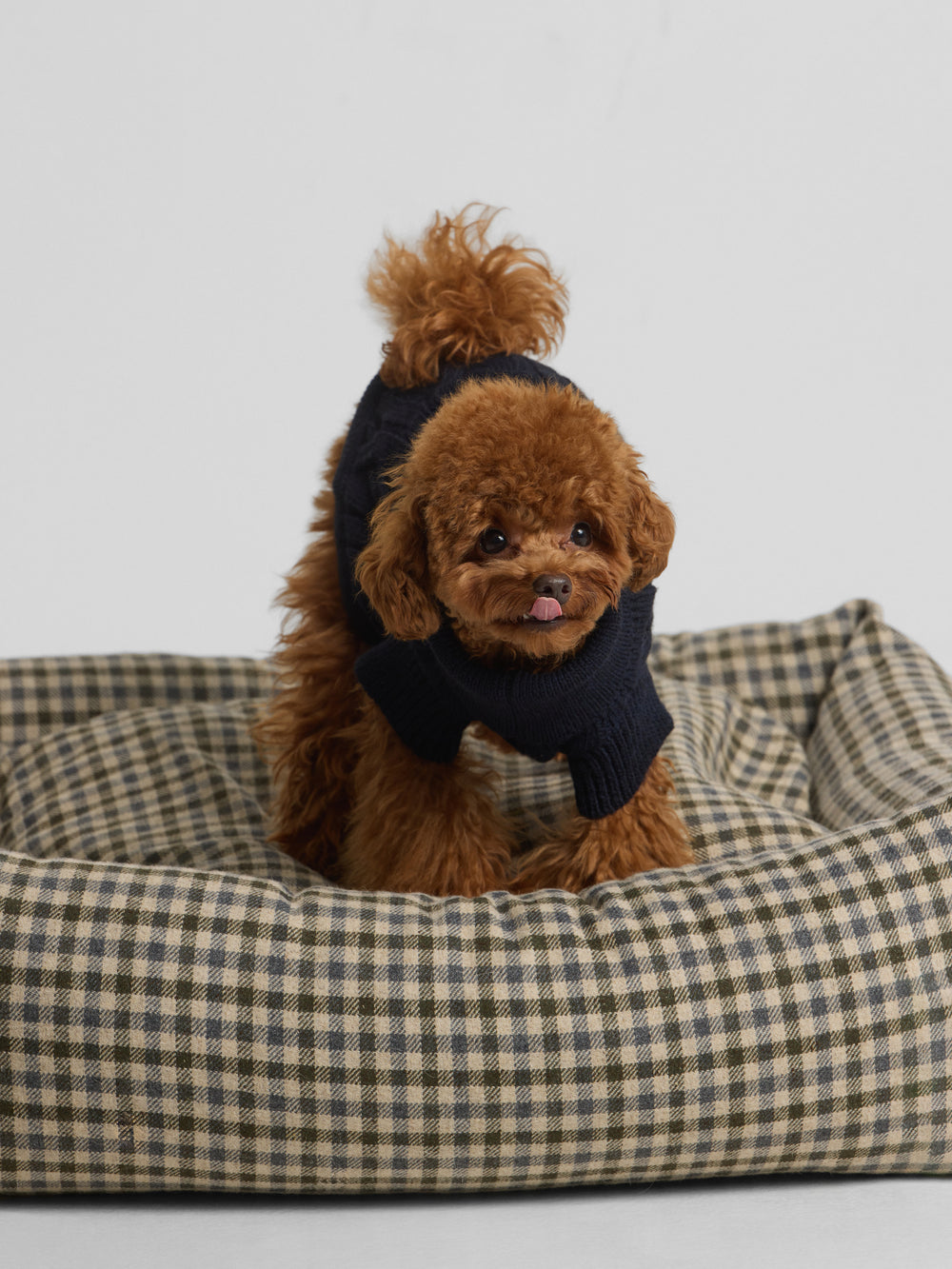 Jersey mascotas cuello vuelto azul marino