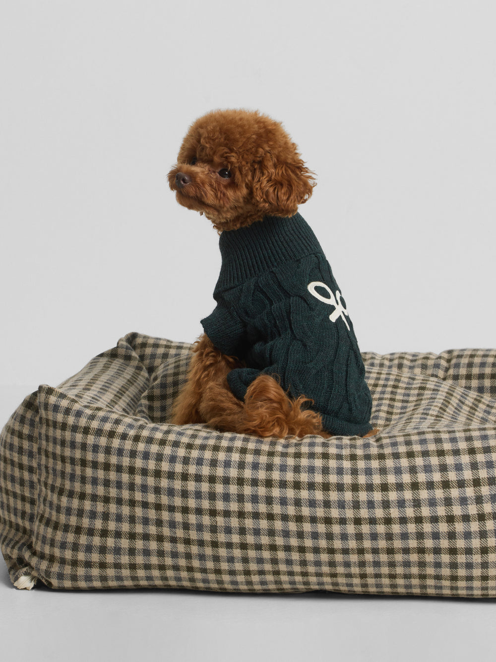 Jersey mascotas cuello vuelto verde