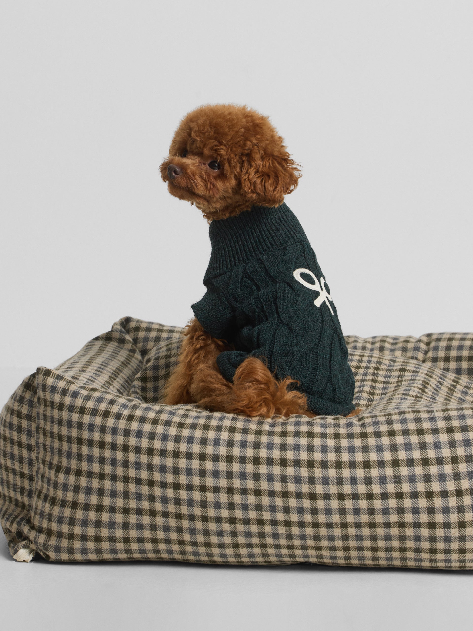 Jersey mascotas cuello vuelto verde