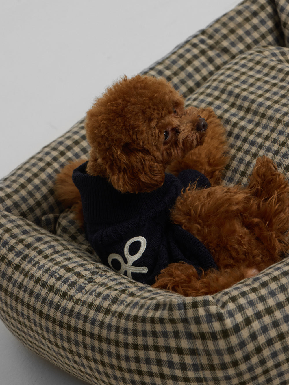 Jersey mascotas cuello vuelto verde