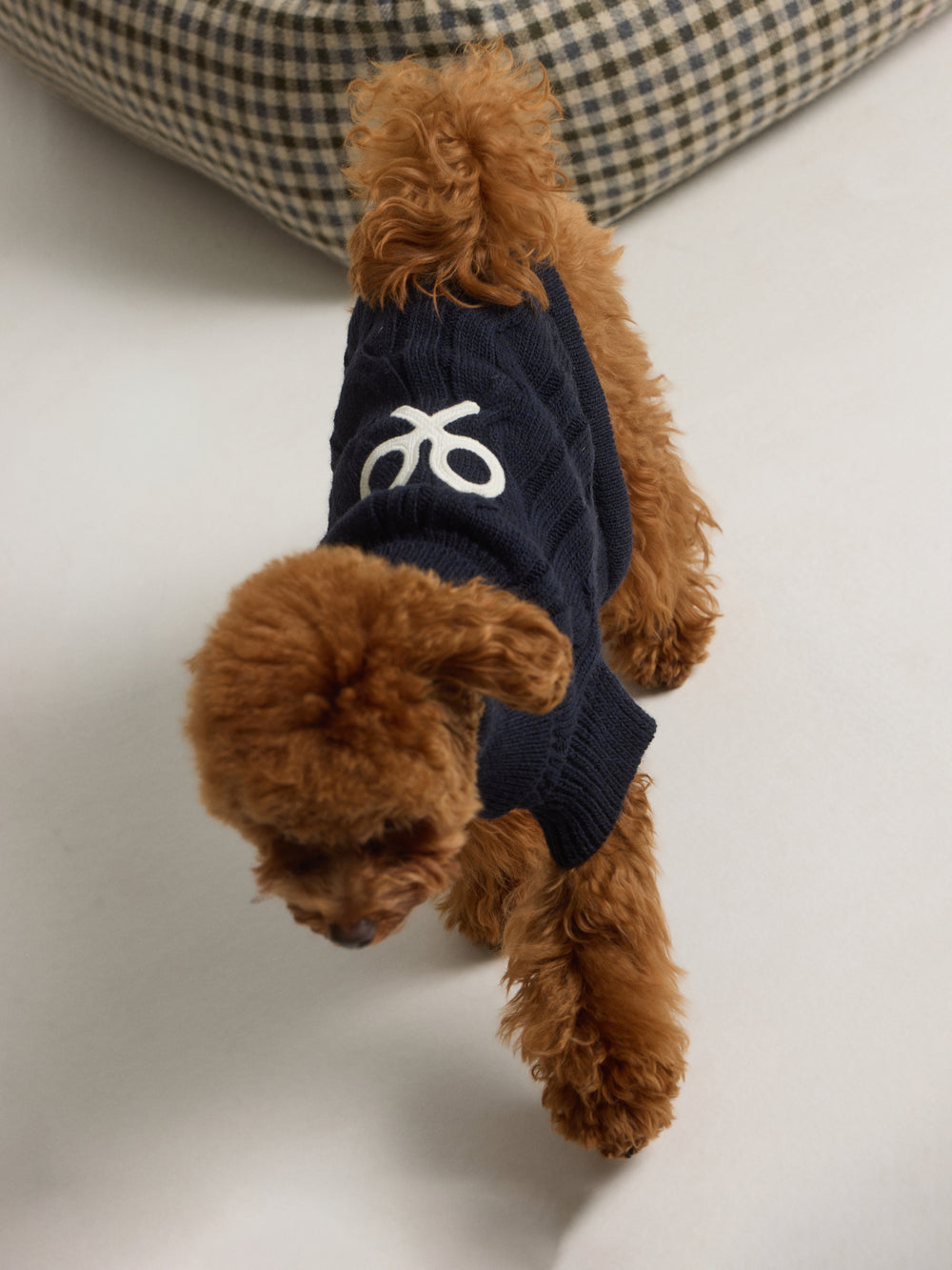 Jersey mascotas cuello vuelto verde