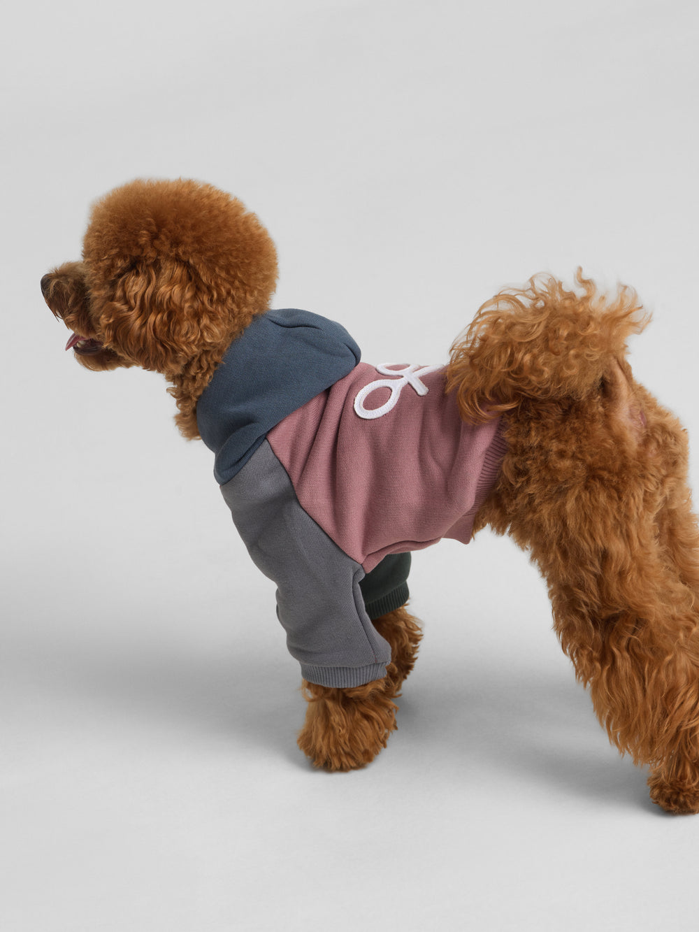 Sudadera mascotas hoodie multicolor burdeos