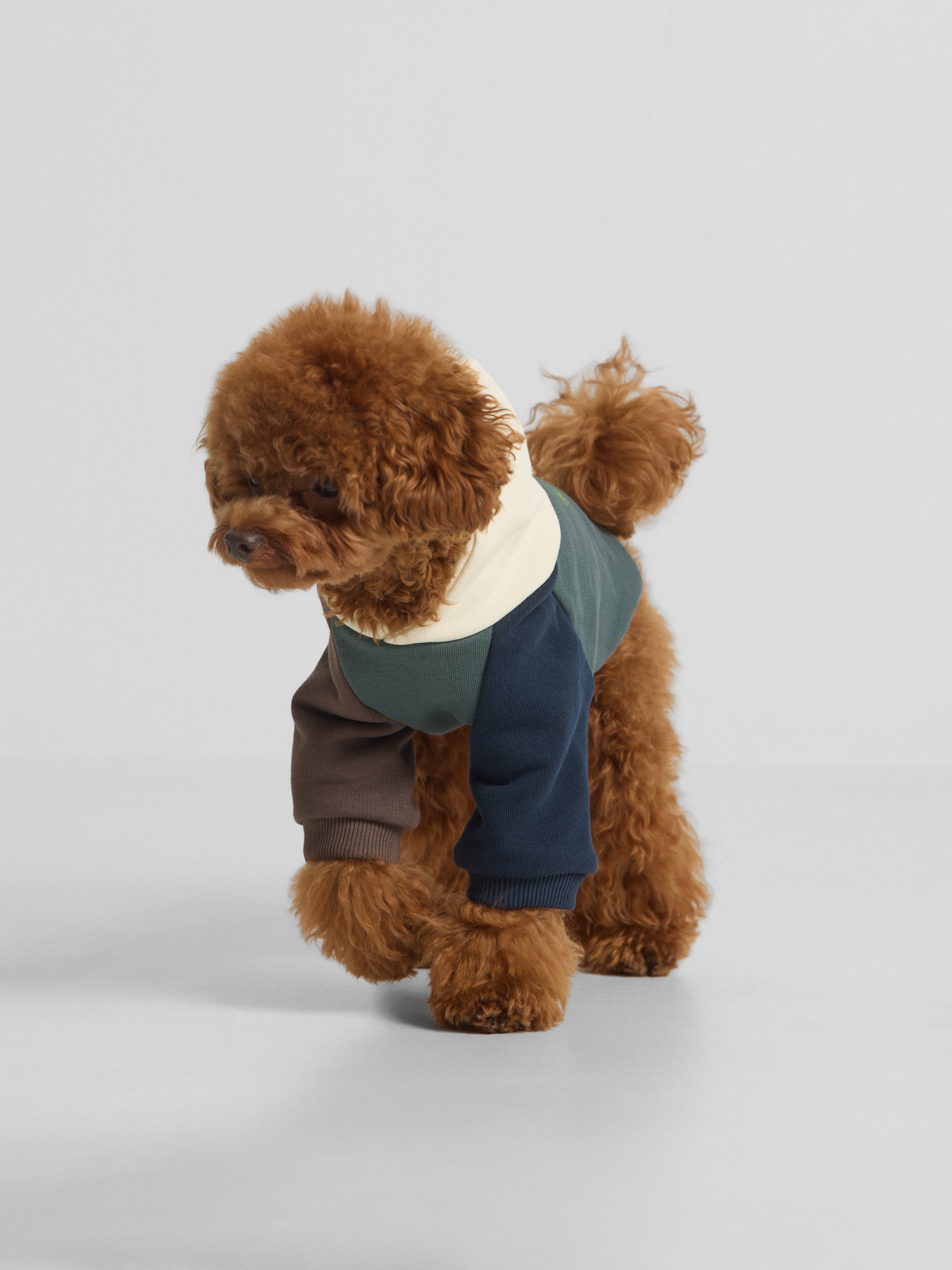 Sweatshirt para animais de estimação hoodie multicolor verde