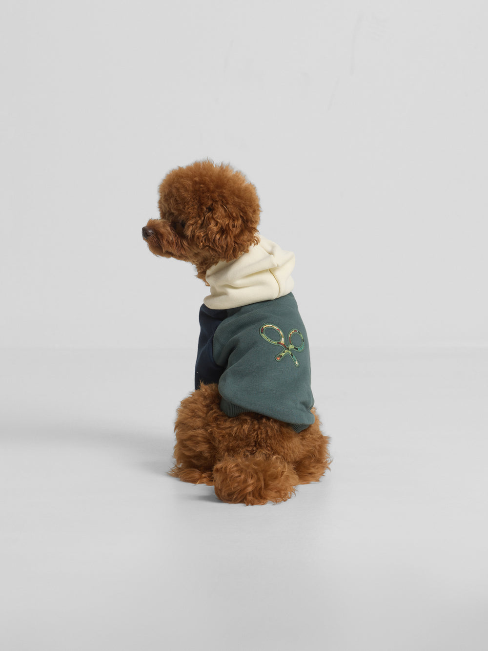 Sudadera mascotas hoodie multicolor verde