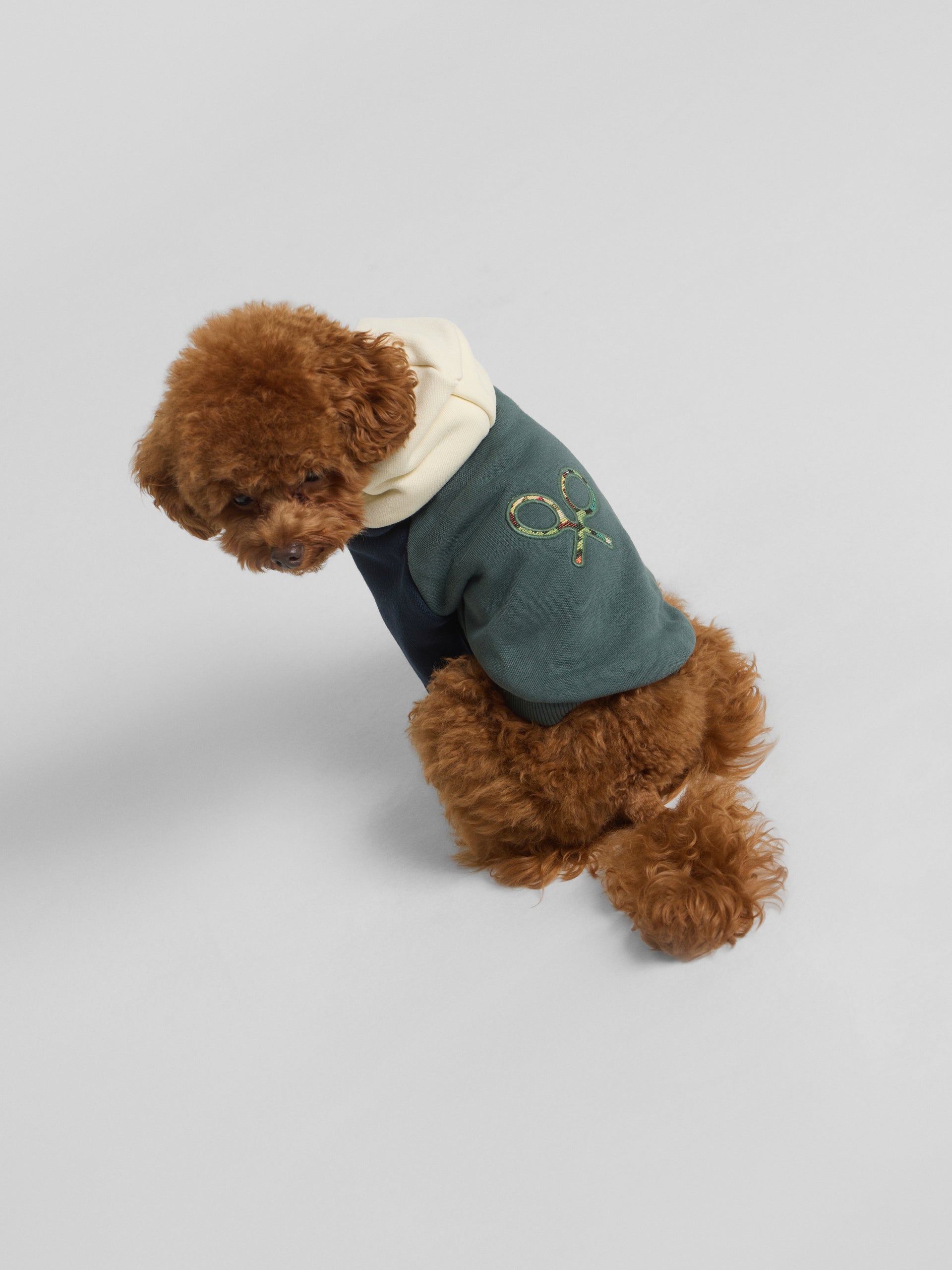 Sweatshirt para animais de estimação hoodie multicolor verde