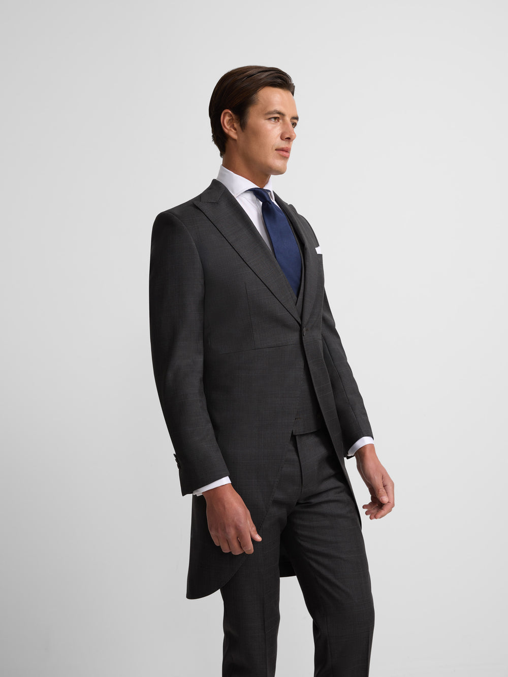 Levita chaque principe de gales gris