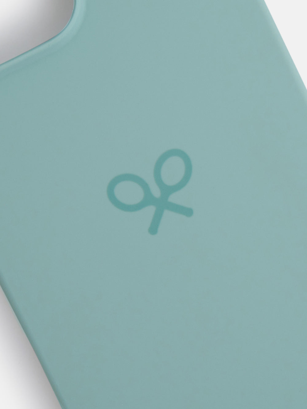 IPHONE 16 PRO MAX case light green