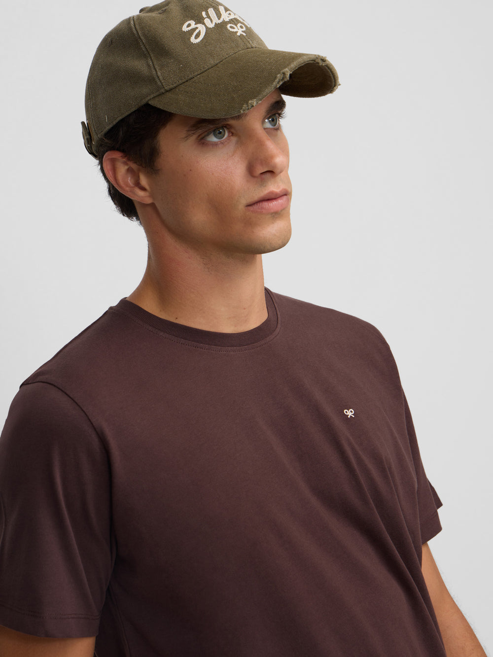 Camiseta silbon minilogo marron