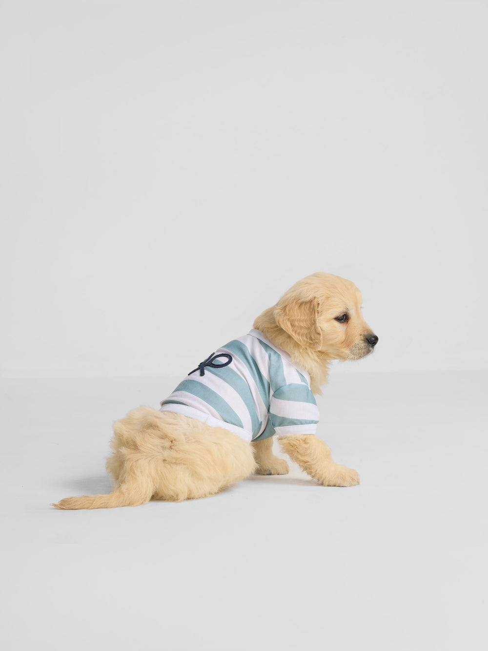 Camiseta mascotas nautica verde