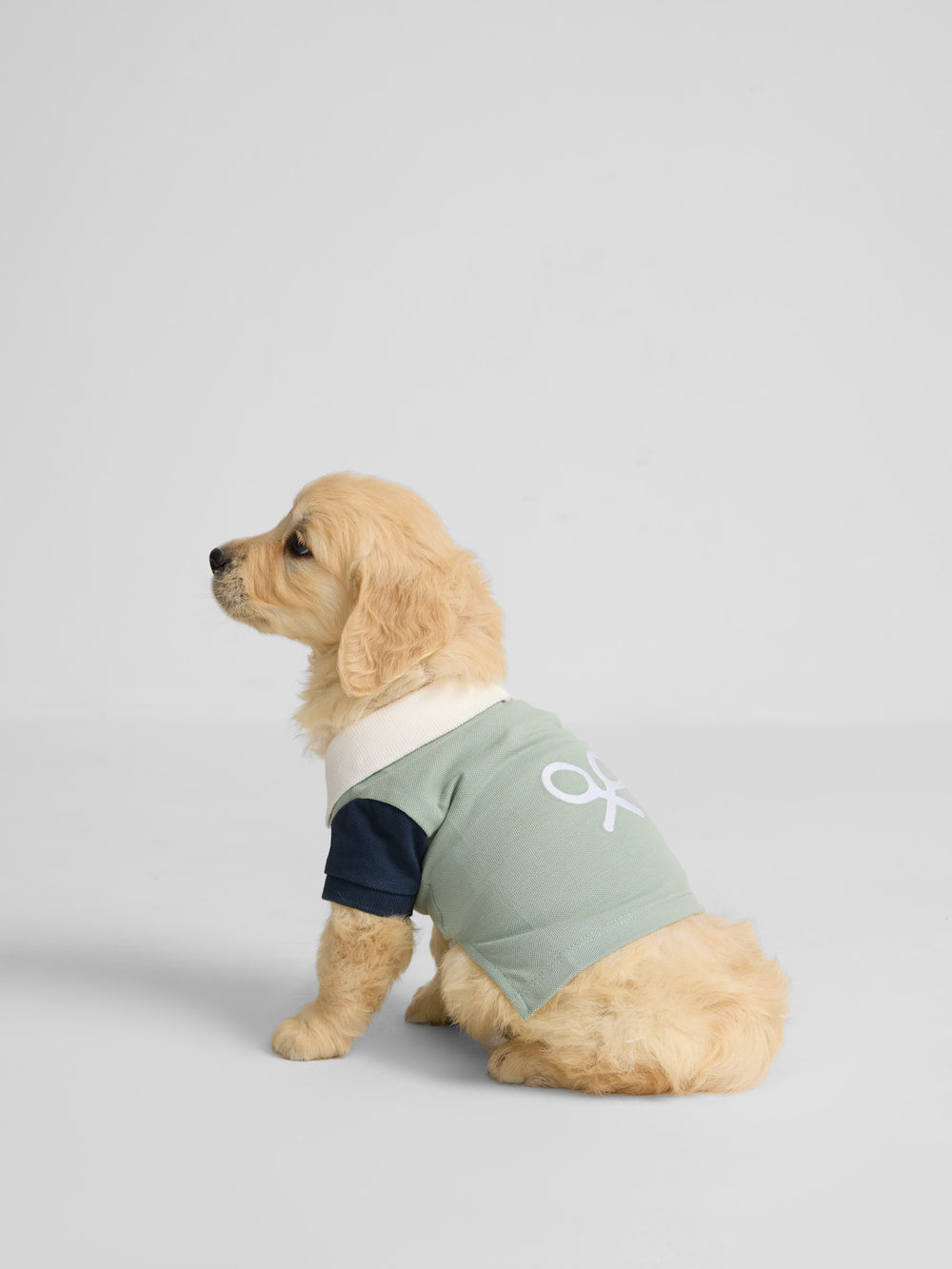 Polo mascotas multicolor verde