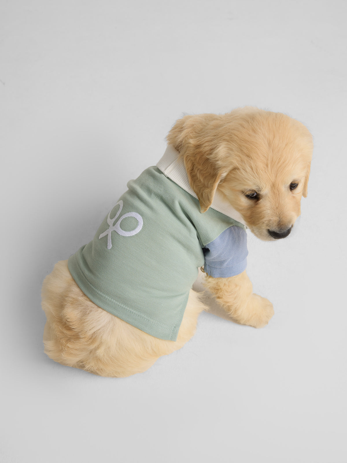 Polo mascotes multicolor verde